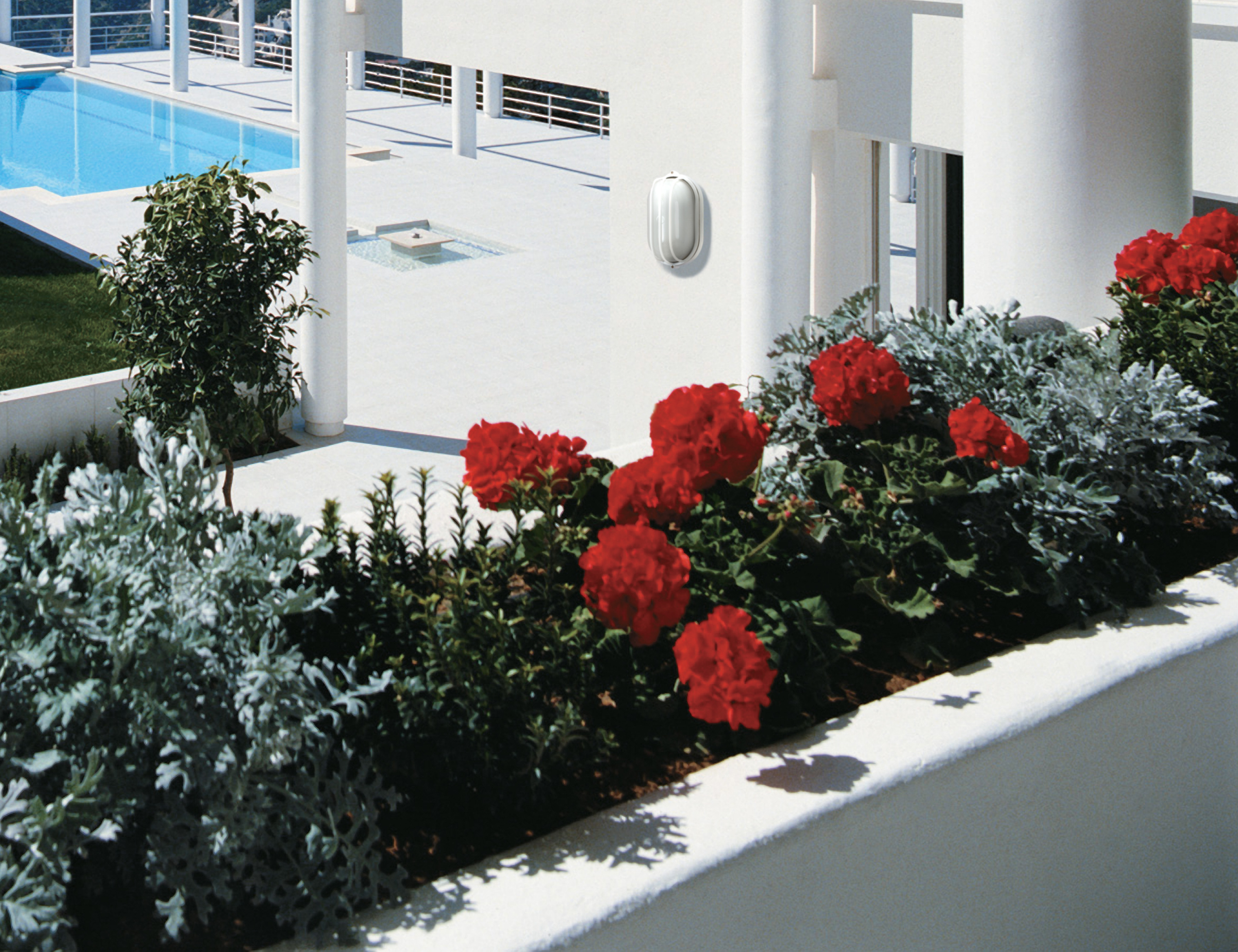 1 LT 10" OVAL CAGE BULK HEAD - 60-524