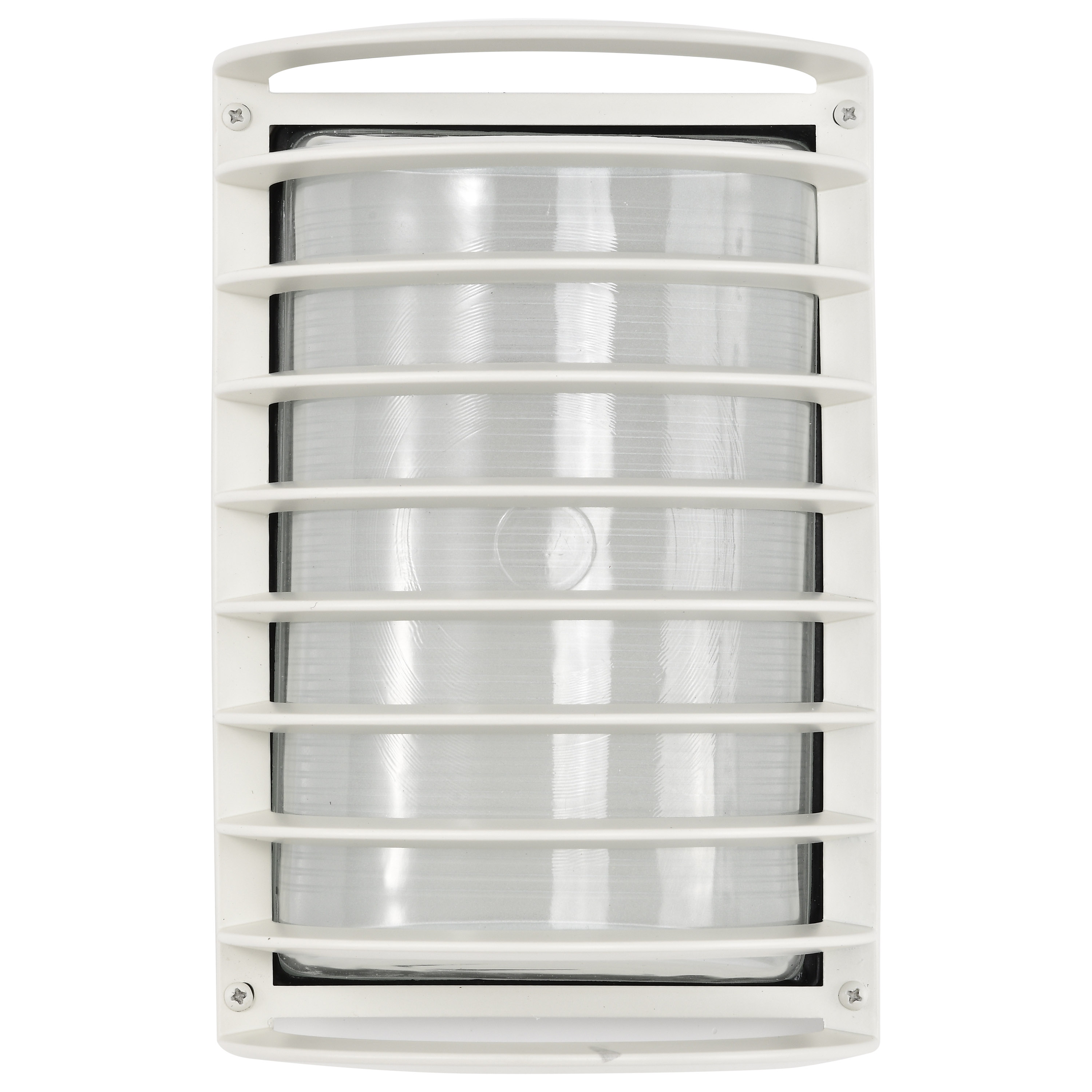 1 LT 10" RECTANGLE CAGE BLK HD - 60-532