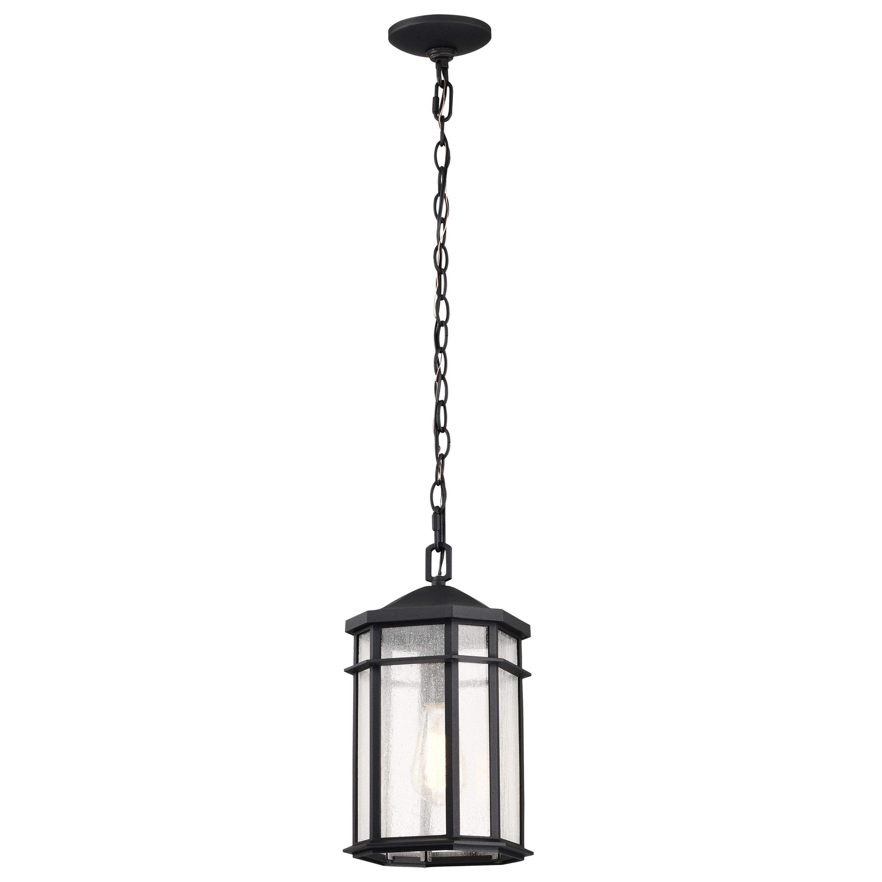 RAIDEN 1LT OUTDOOR HANGING - 60-5759