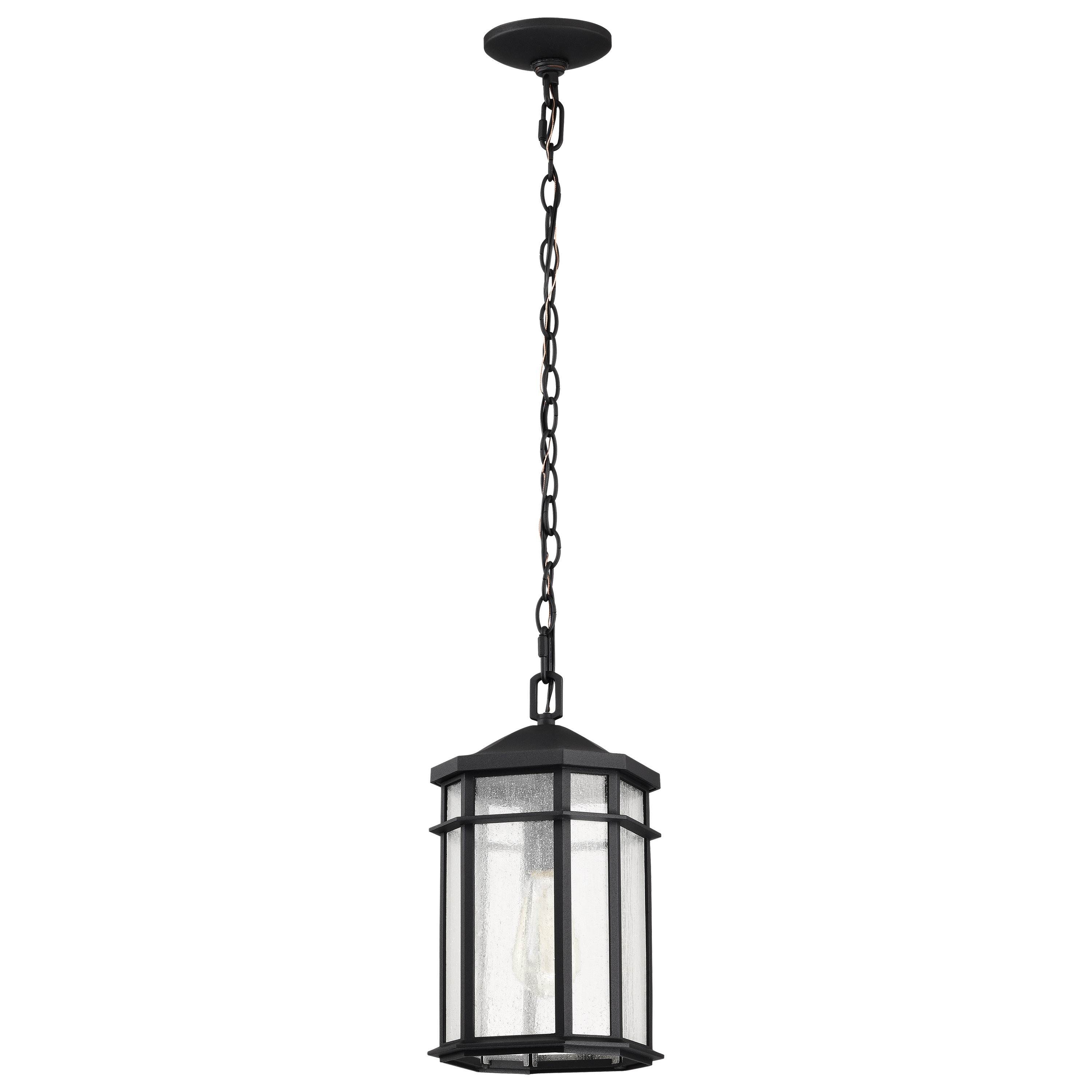 RAIDEN 1LT OUTDOOR HANGING - 60-5759