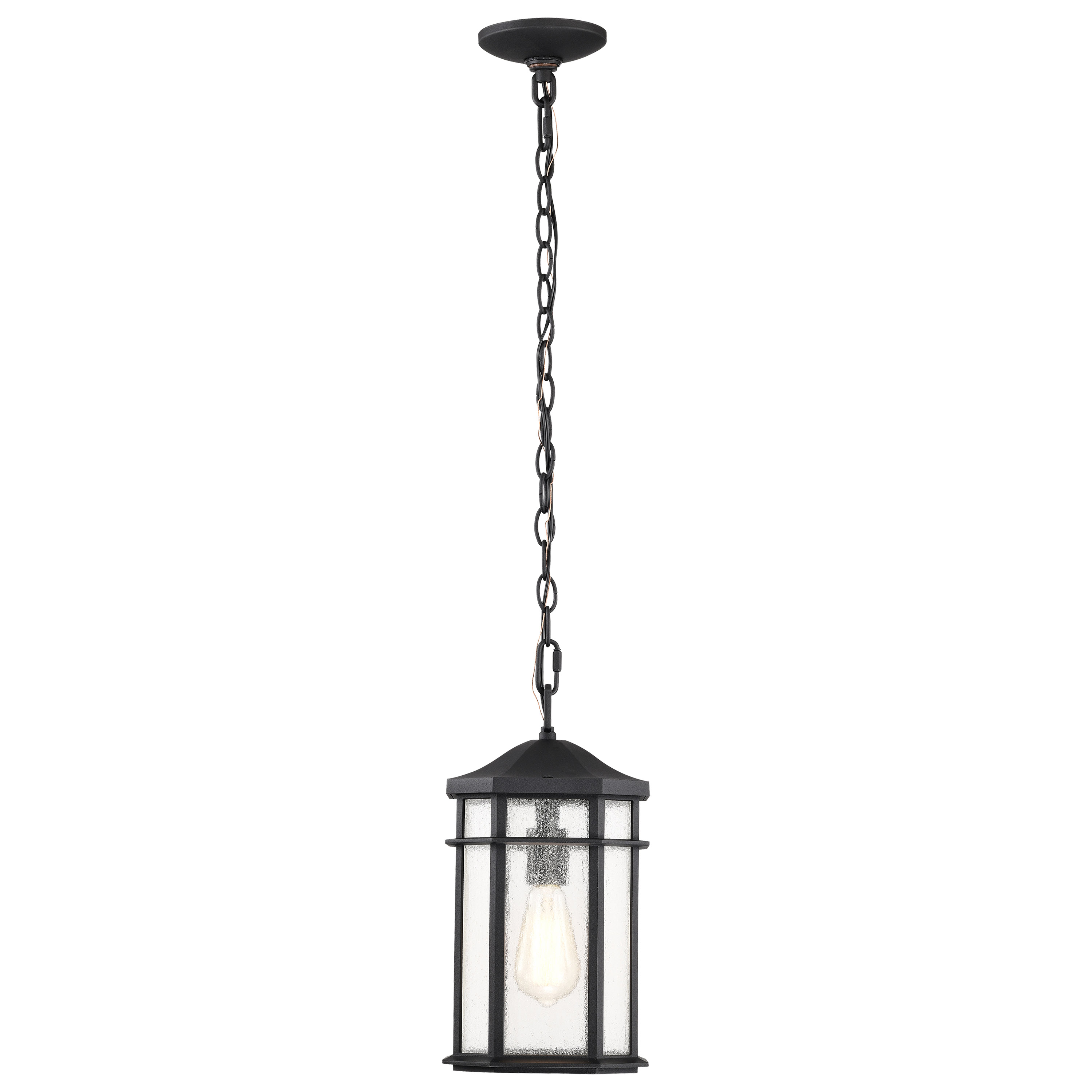 RAIDEN 1LT OUTDOOR HANGING - 60-5759
