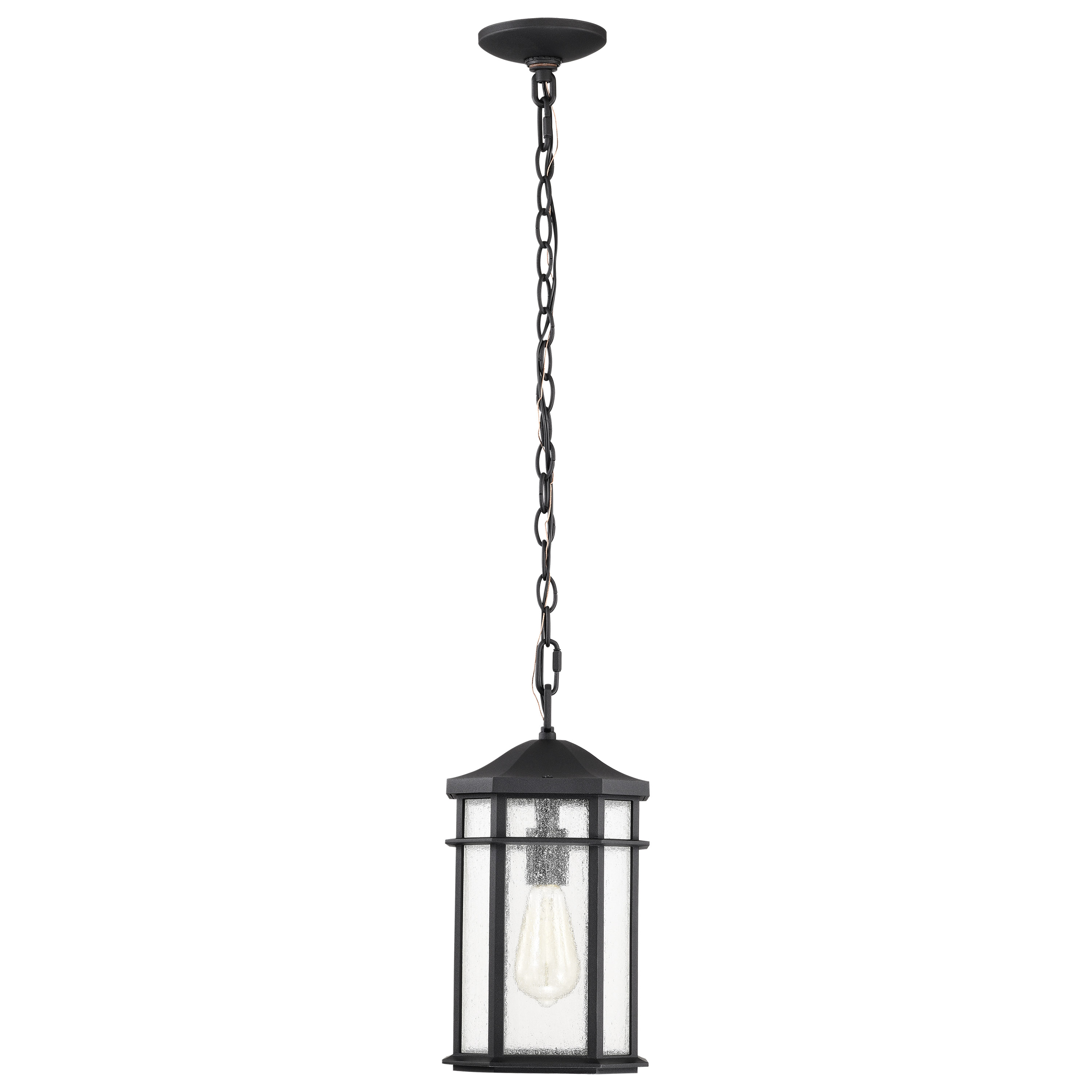 RAIDEN 1LT OUTDOOR HANGING - 60-5759
