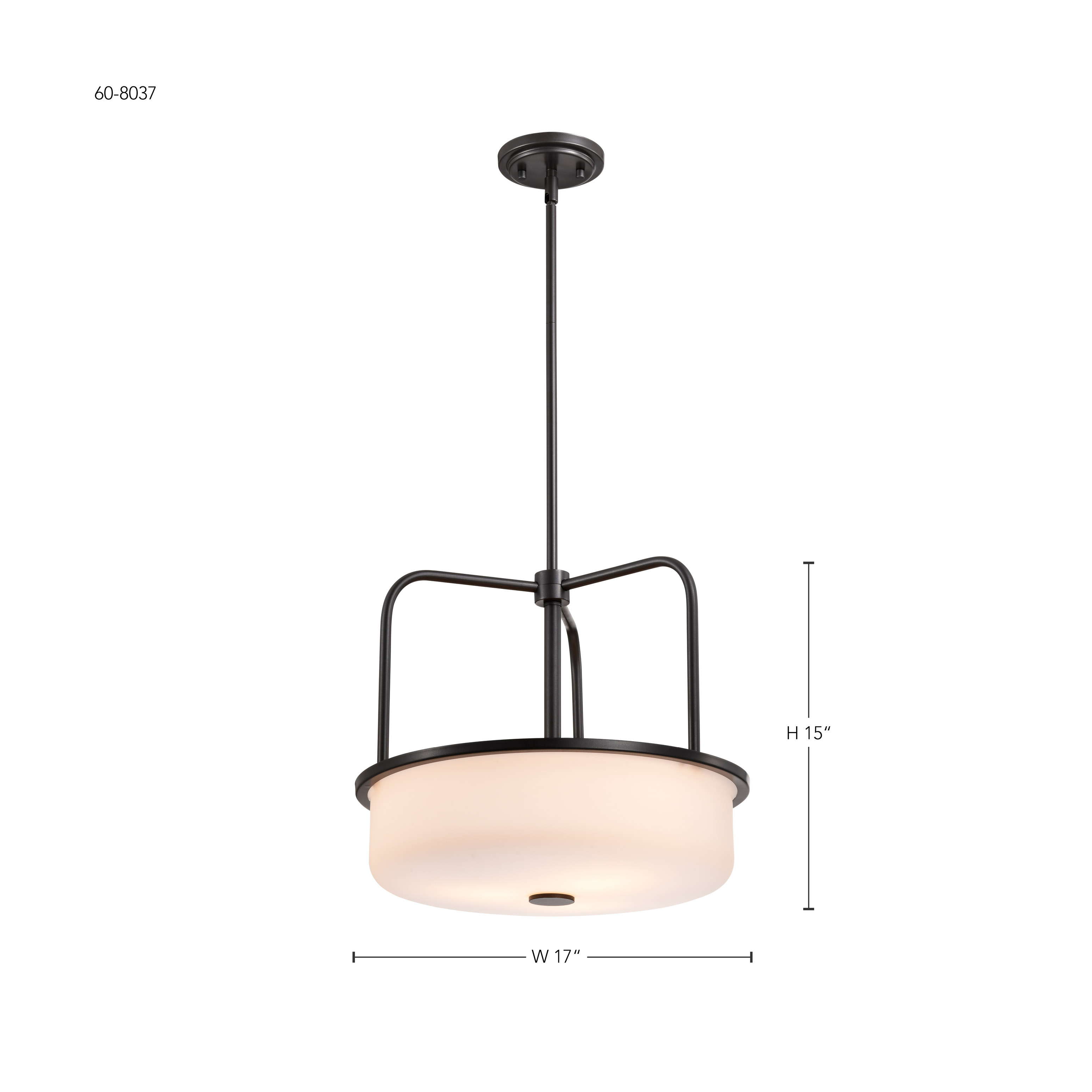 WARREN 17" PENDANT - 60-8037