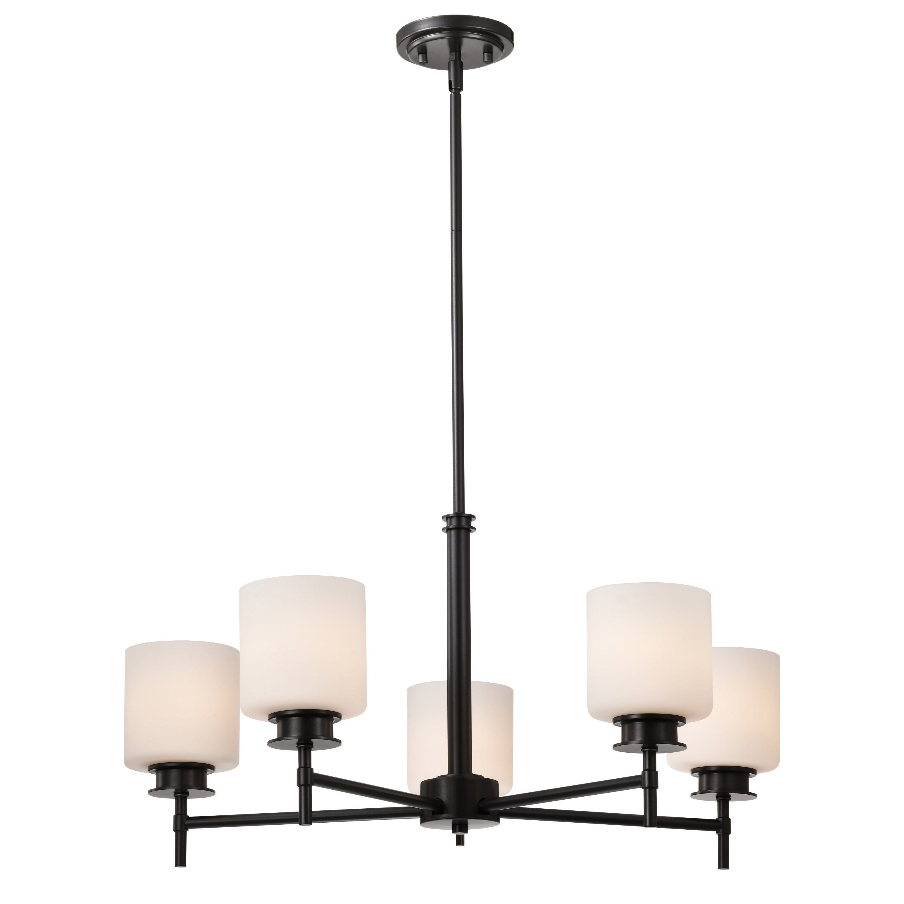 WARREN 28" 5 LIGHT CHANDELIER - 60-8038
