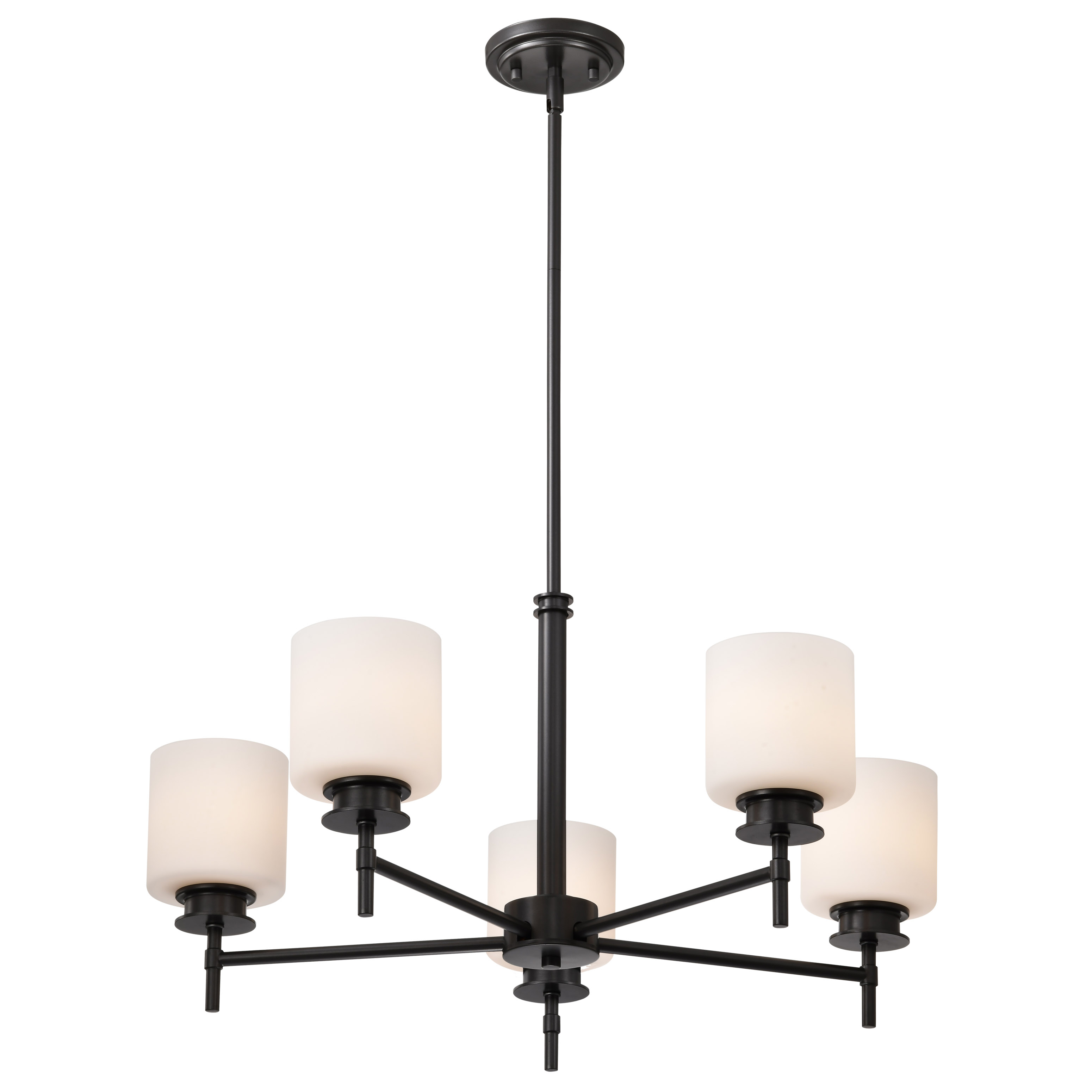 WARREN 28" 5 LIGHT CHANDELIER - 60-8038