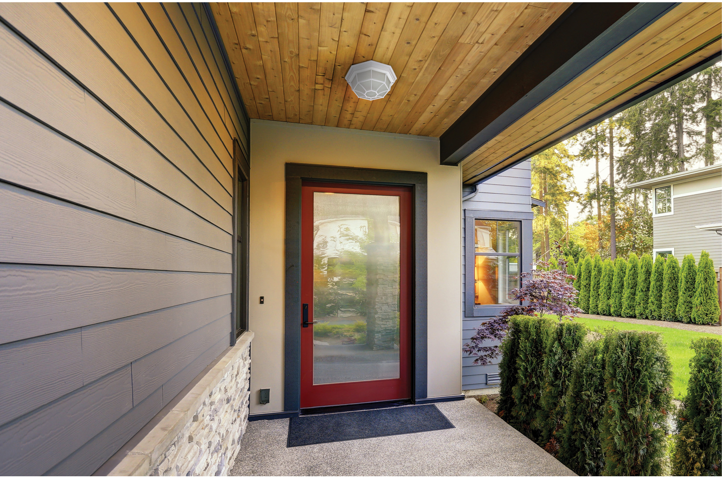 LED SPIDER CAGE - 62-1419