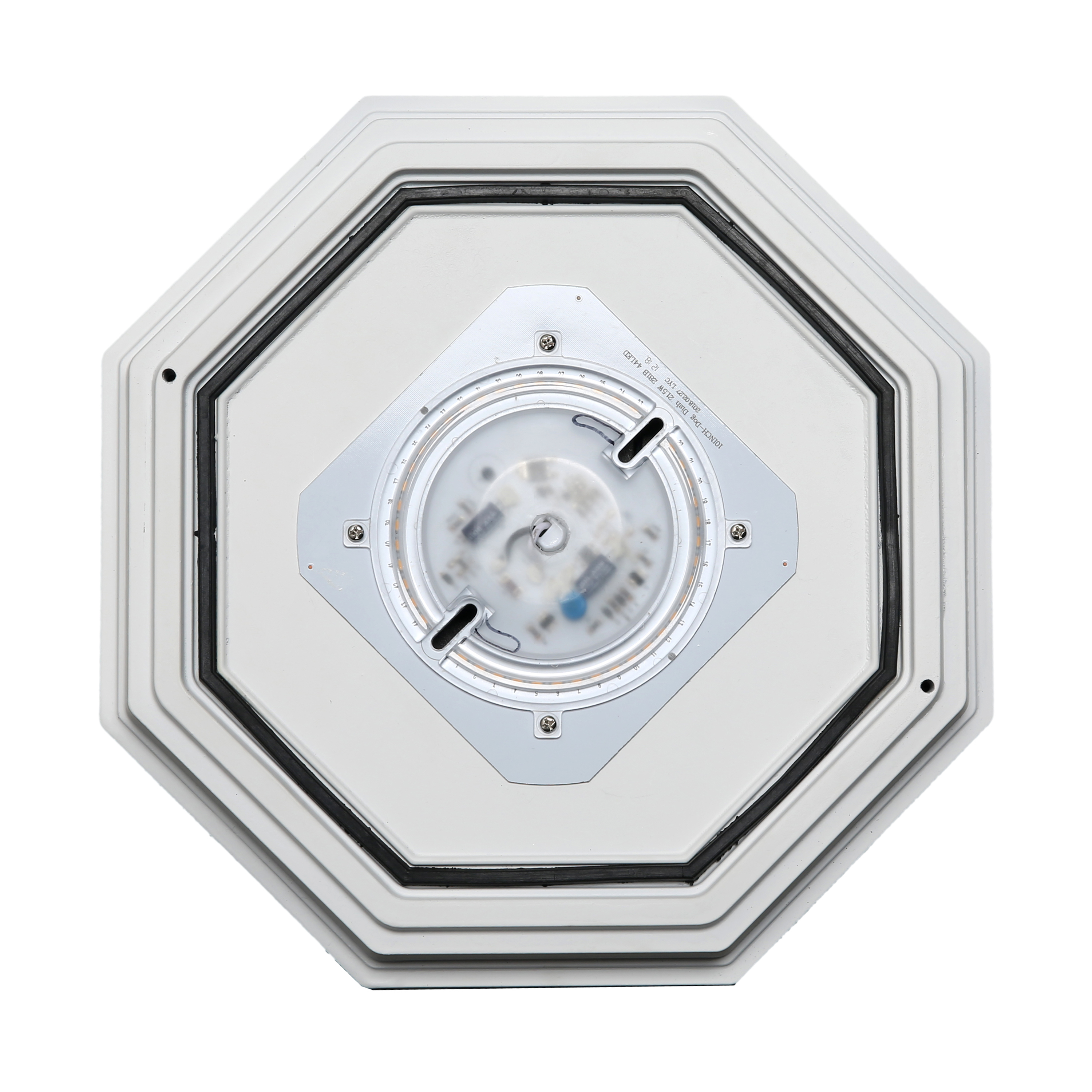 LED SPIDER CAGE - 62-1420