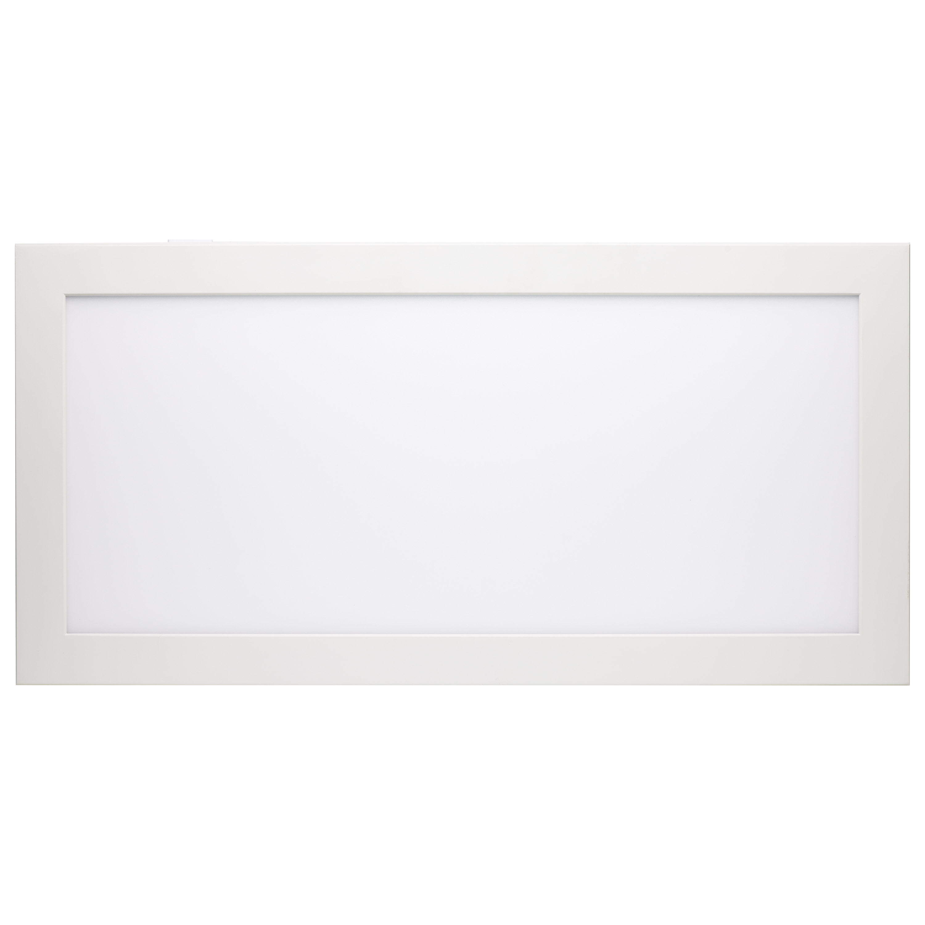 BLINK PRO PLUS 24W 1'X2' - 62-1773