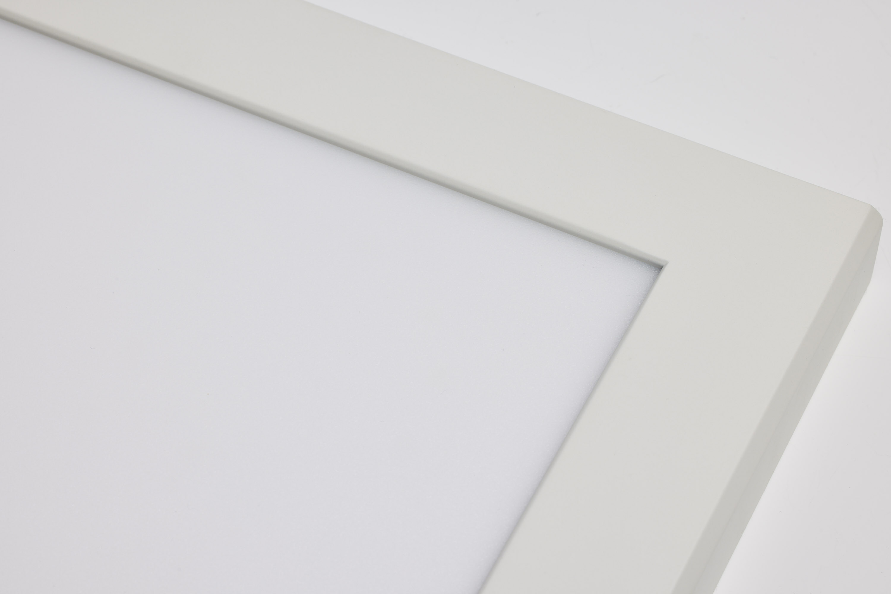 BLINK PRO PLUS 24W 1'X2' - 62-1773