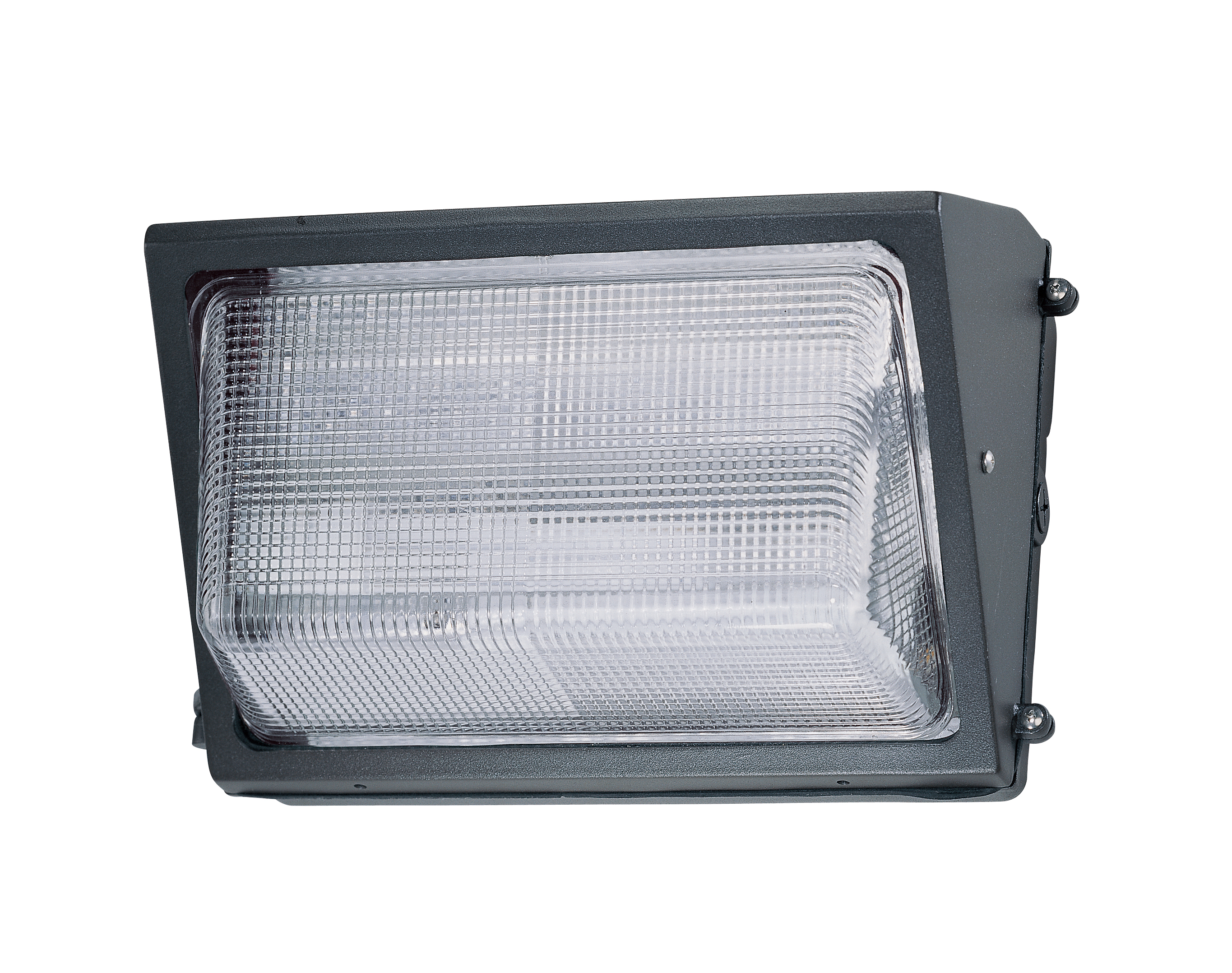 W/LAMPS 2-42W GX24 4PIN DIE CT - 65-028R