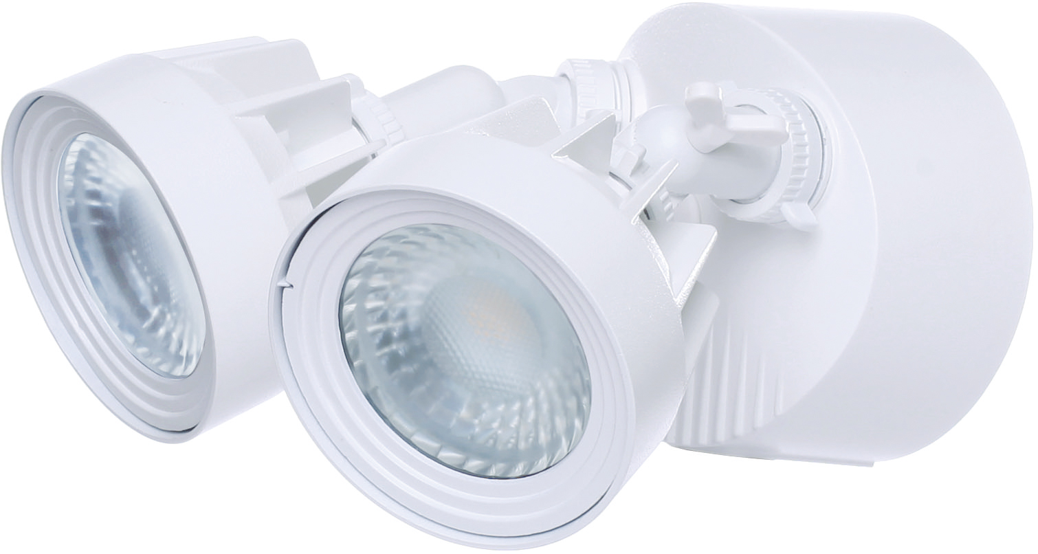LED DUAL HEAD SECURITY LT - 65-107