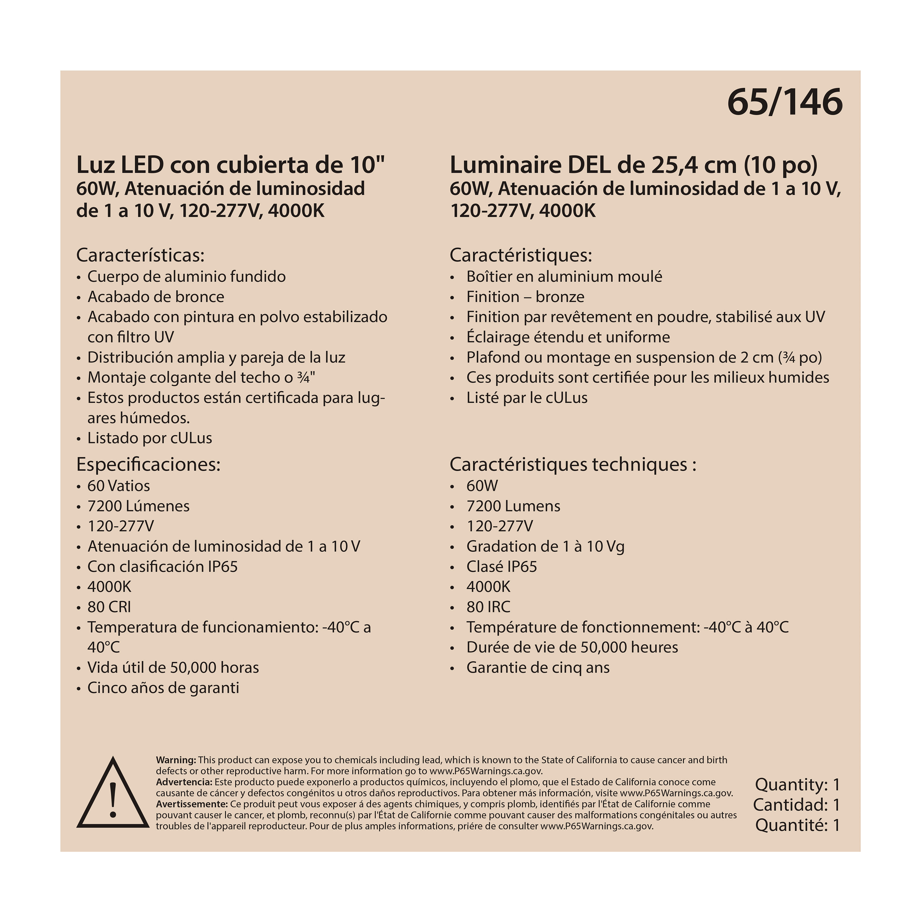 60W LED CANOPY FIXTURE 10" - 65-146