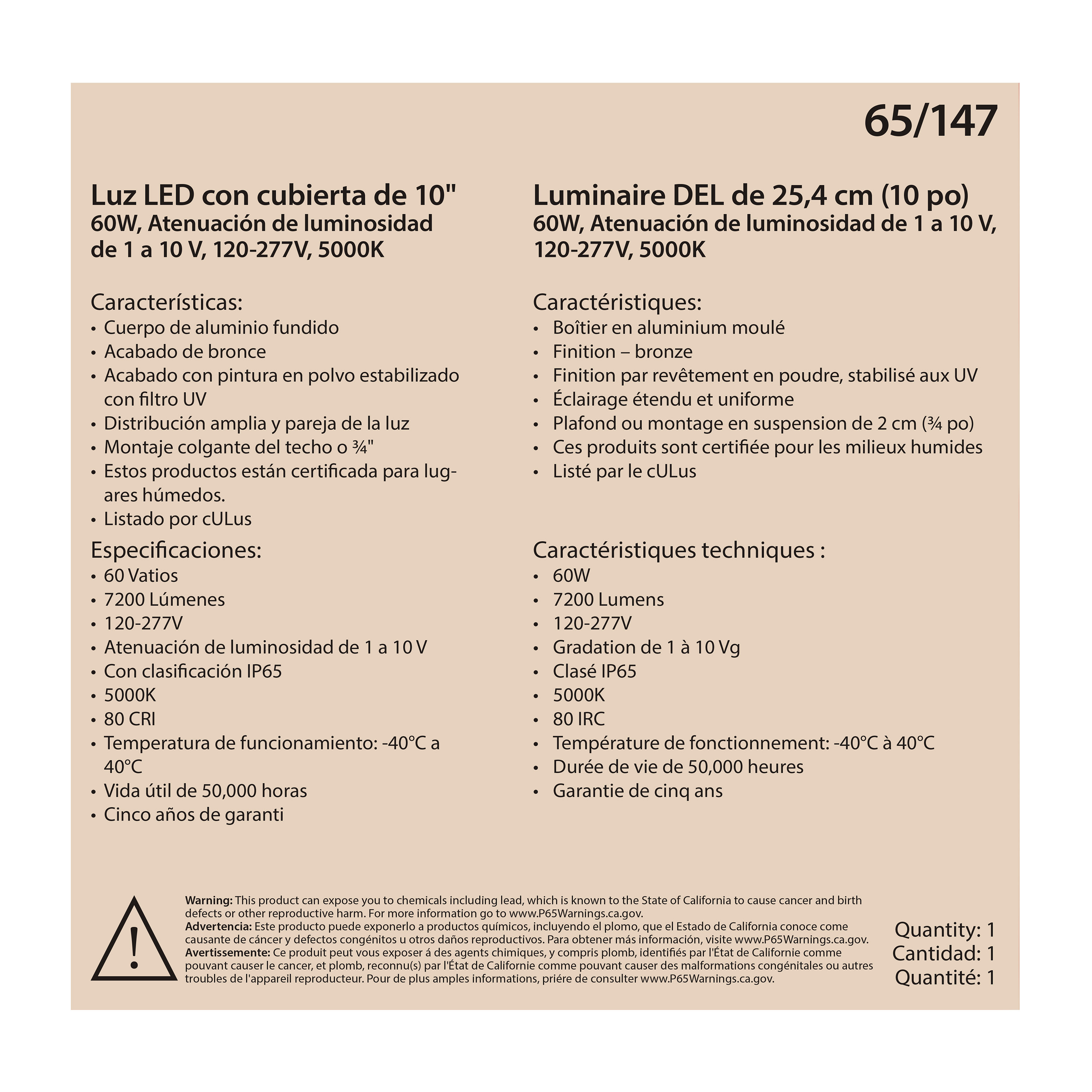 60W LED CANOPY FIXTURE 10" - 65-147