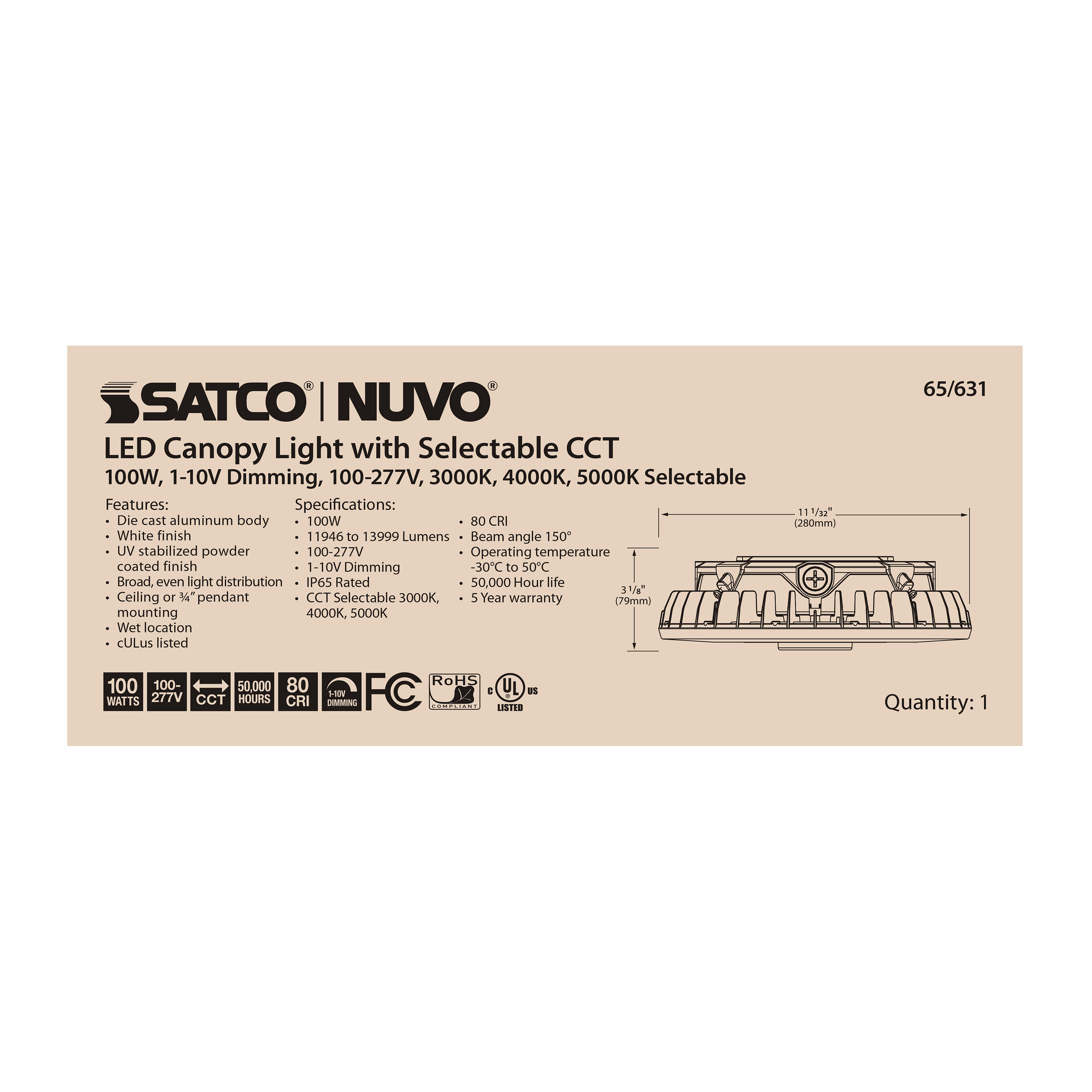 100W LED CANOPY LIGHT - 65-631