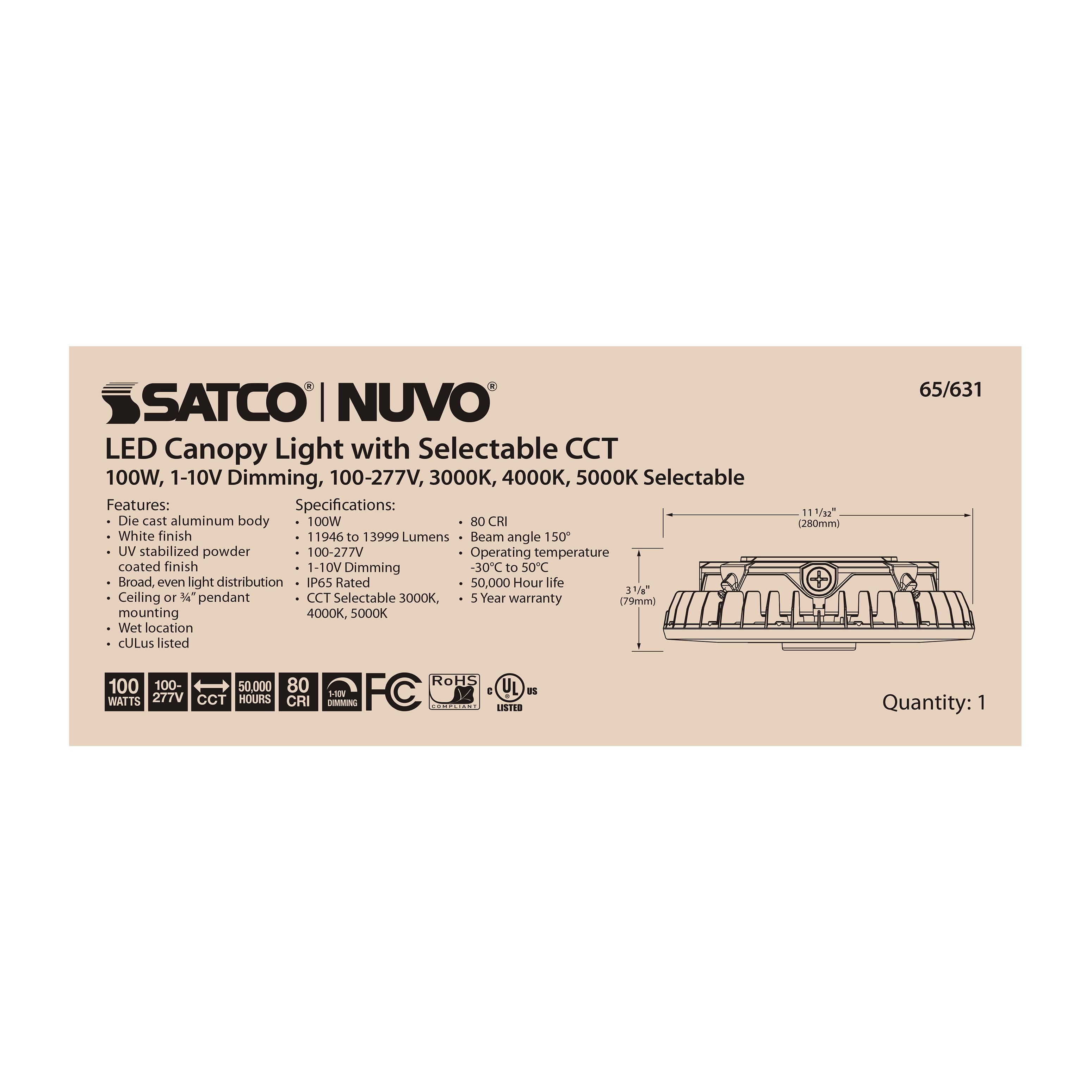 100W LED CANOPY LIGHT - 65-631