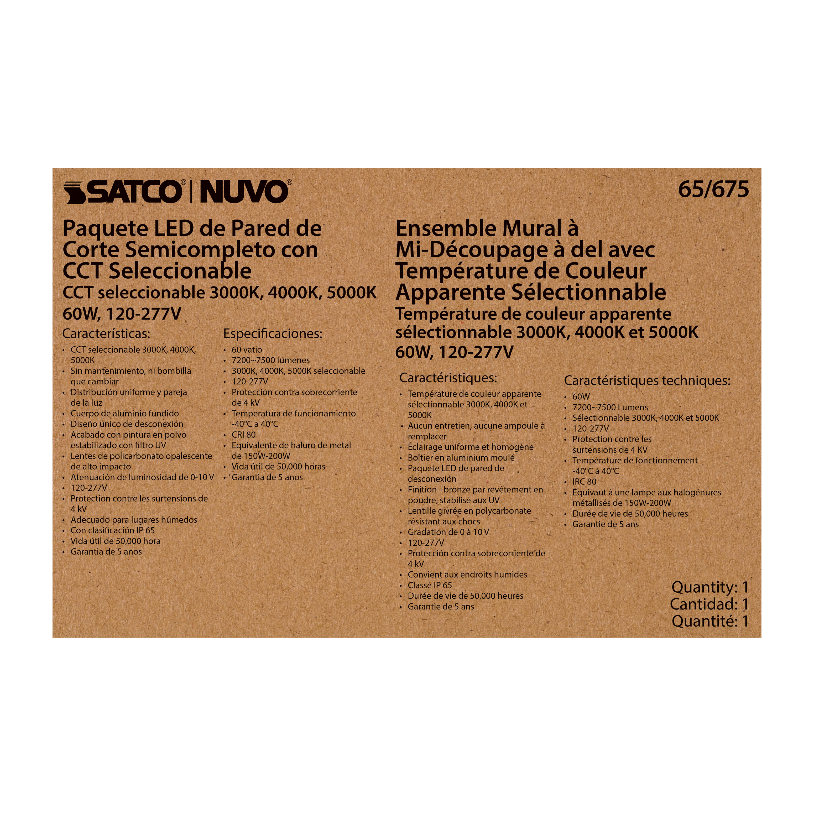 60W SEMI CUTOFF WALL PACK - 65-675