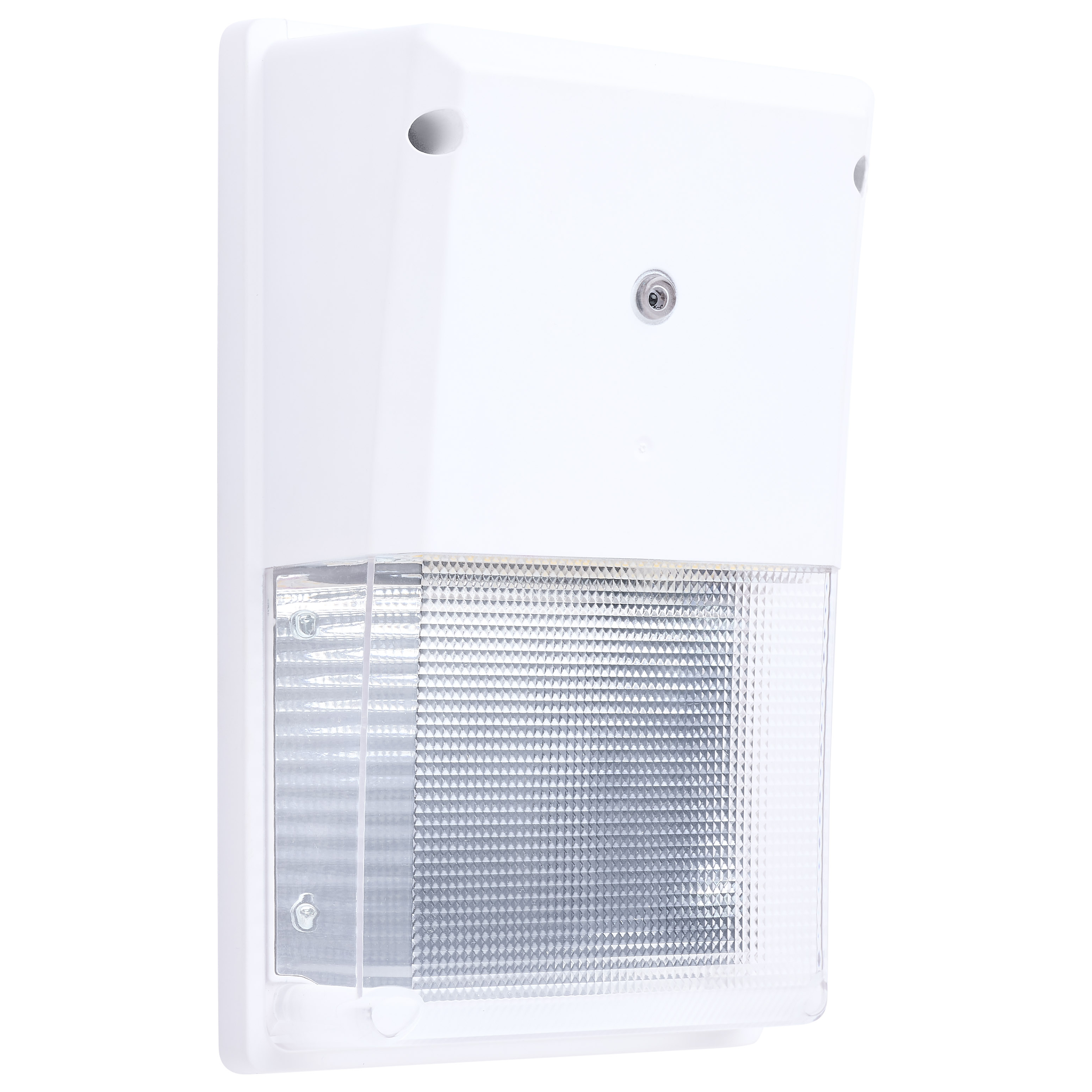 LED TURTLE SAFE SM WALL PACK - 65-889