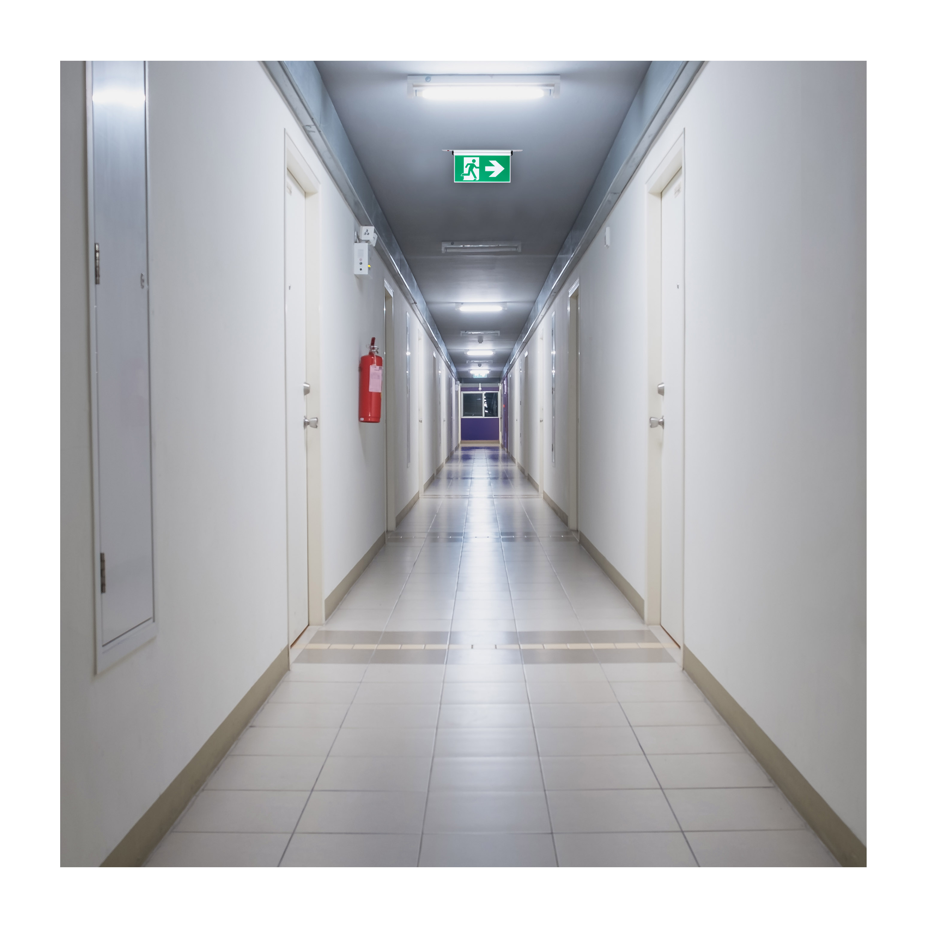 EX SIGN-CAN-EL-AL - 67-530