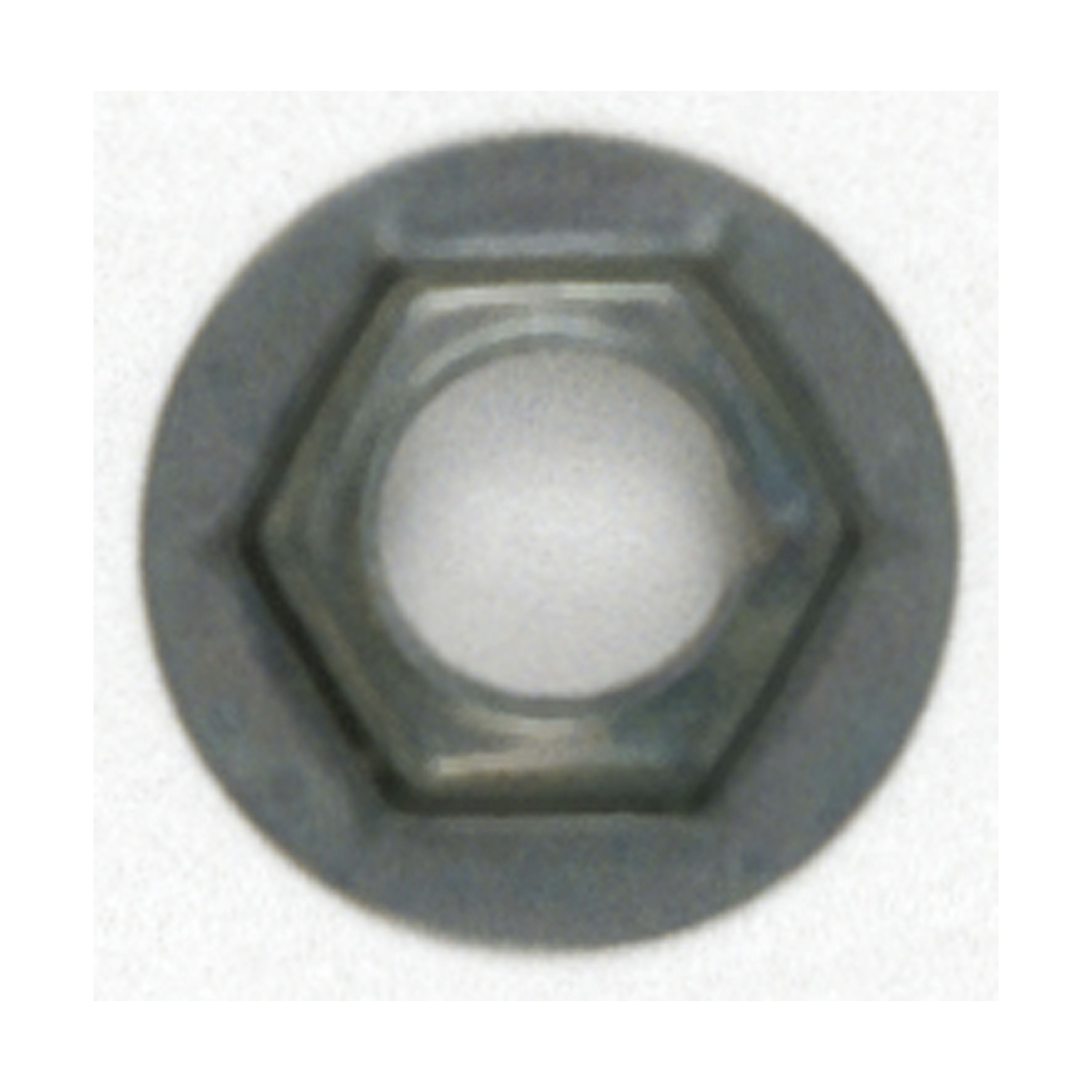 1/8IP SHOULDER PAL NUT - 90-019