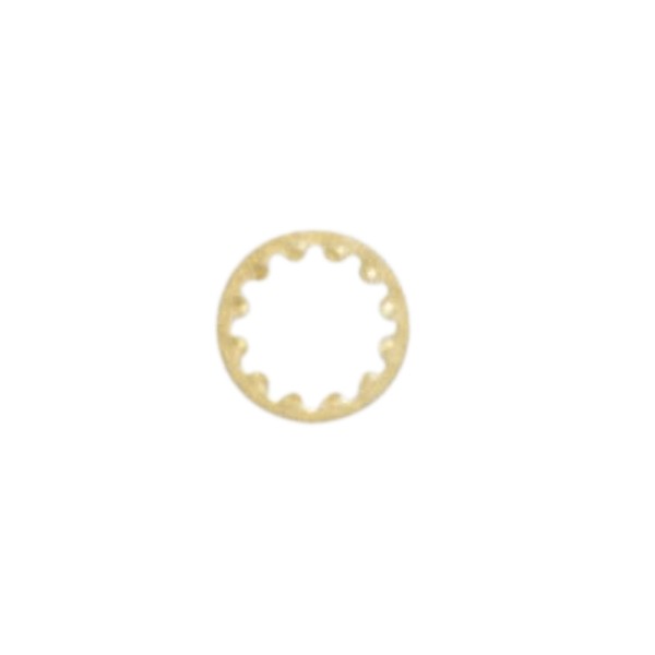 1/4 IP TOOTHWASHER BRASS PLATE - 90-1580