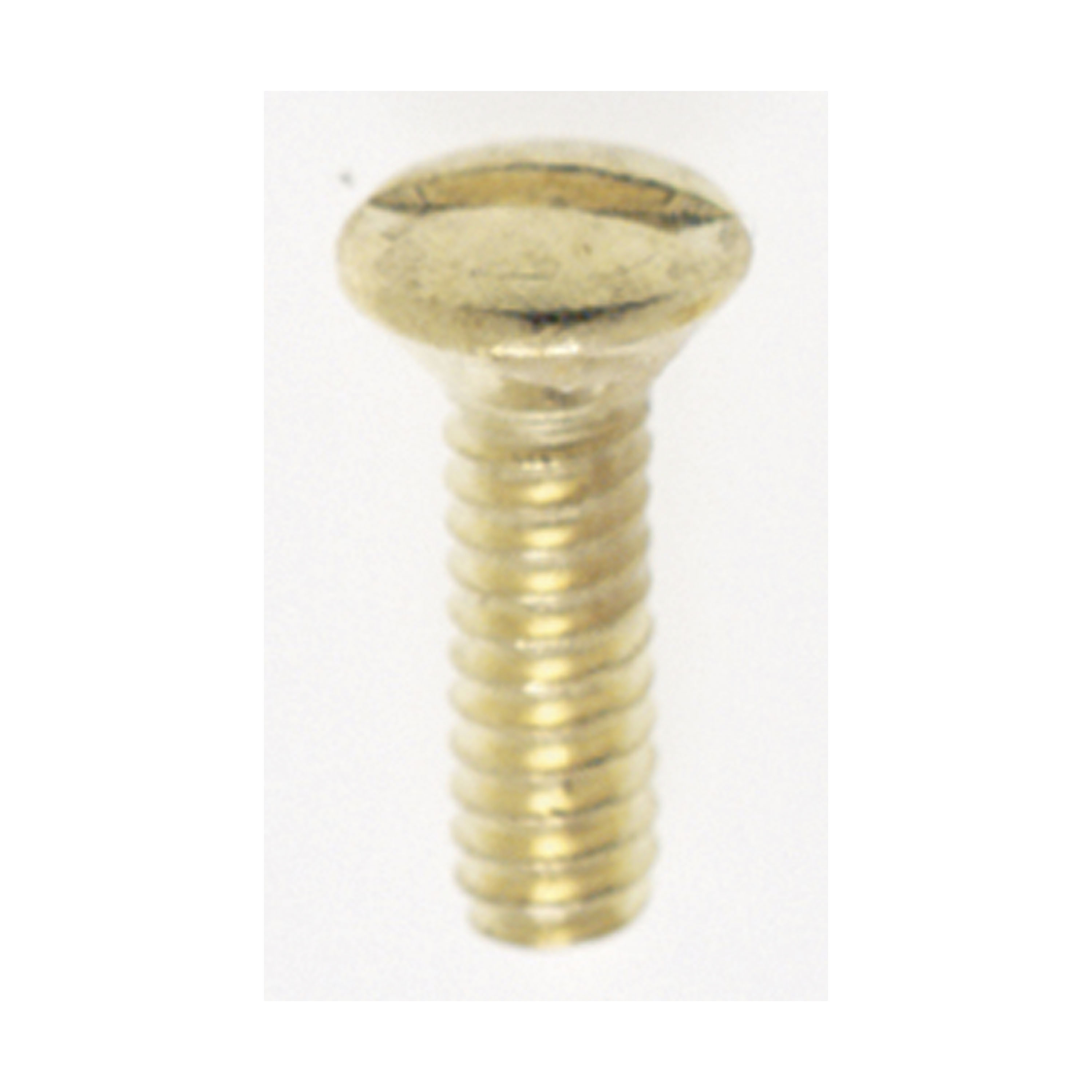 6/32 BRASS SWITCHPLATE SCREW - 90-538