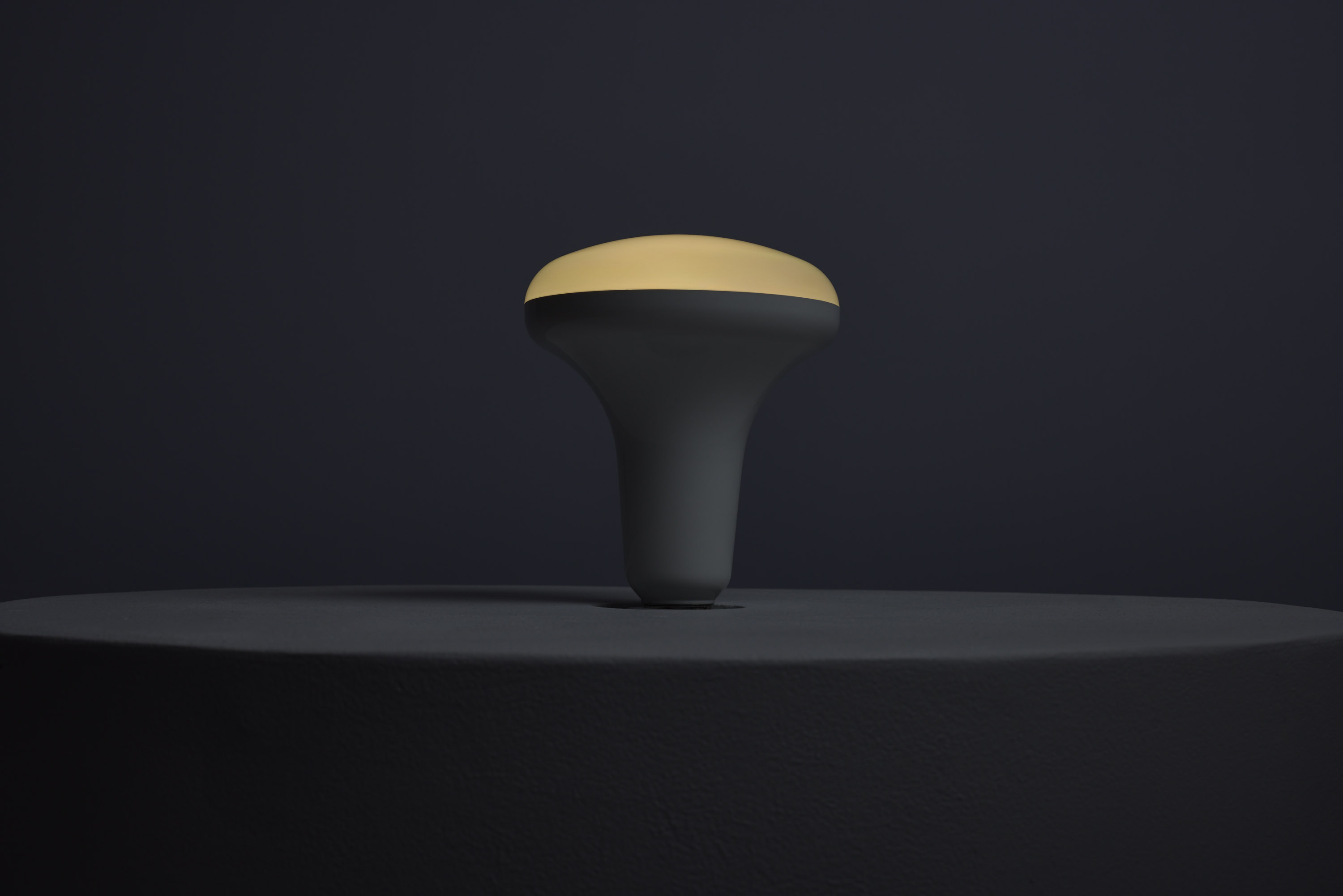 BR40/12W/LED/RGBTW/SF - S11105