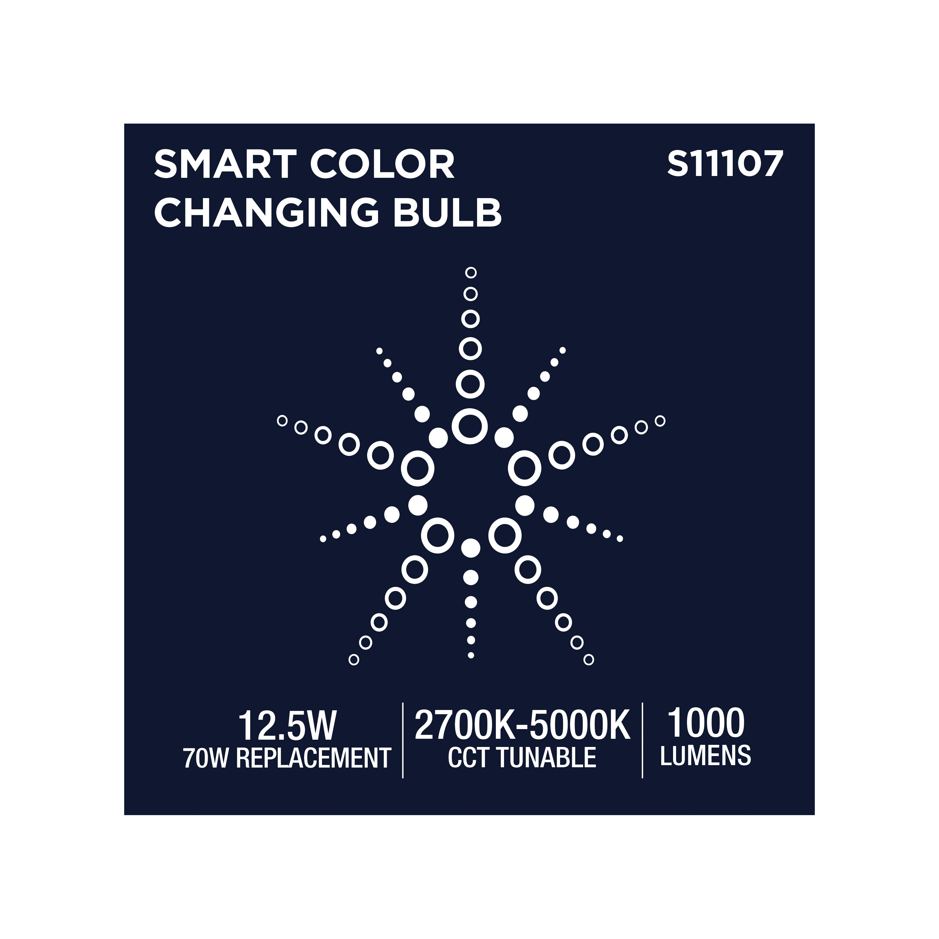 PAR30/12.5W/LED/RGBTW/SF - S11107