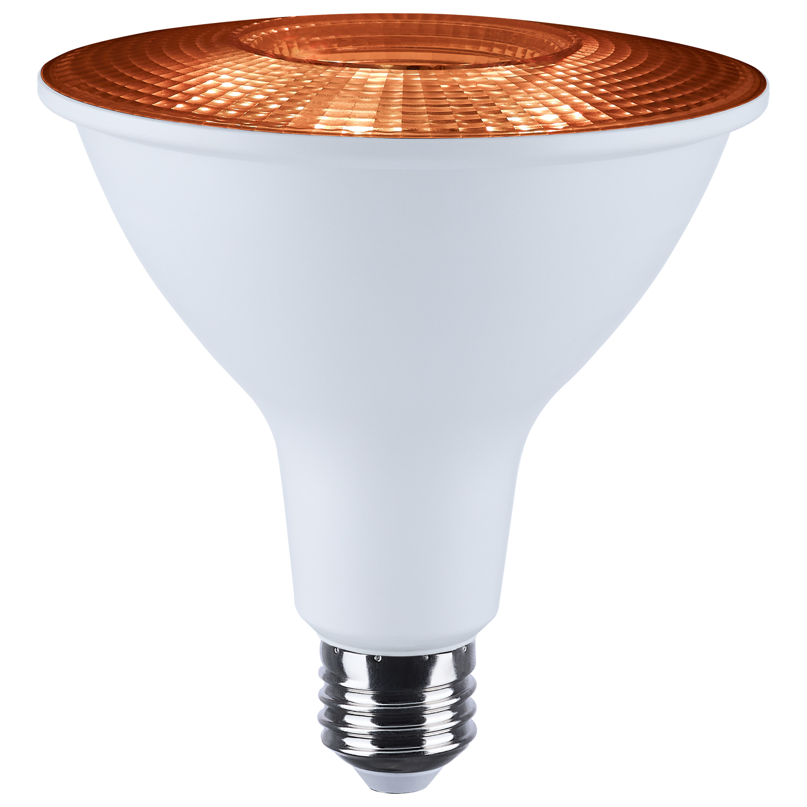 PAR38/15W/LED/RGBTW/SF - S11108