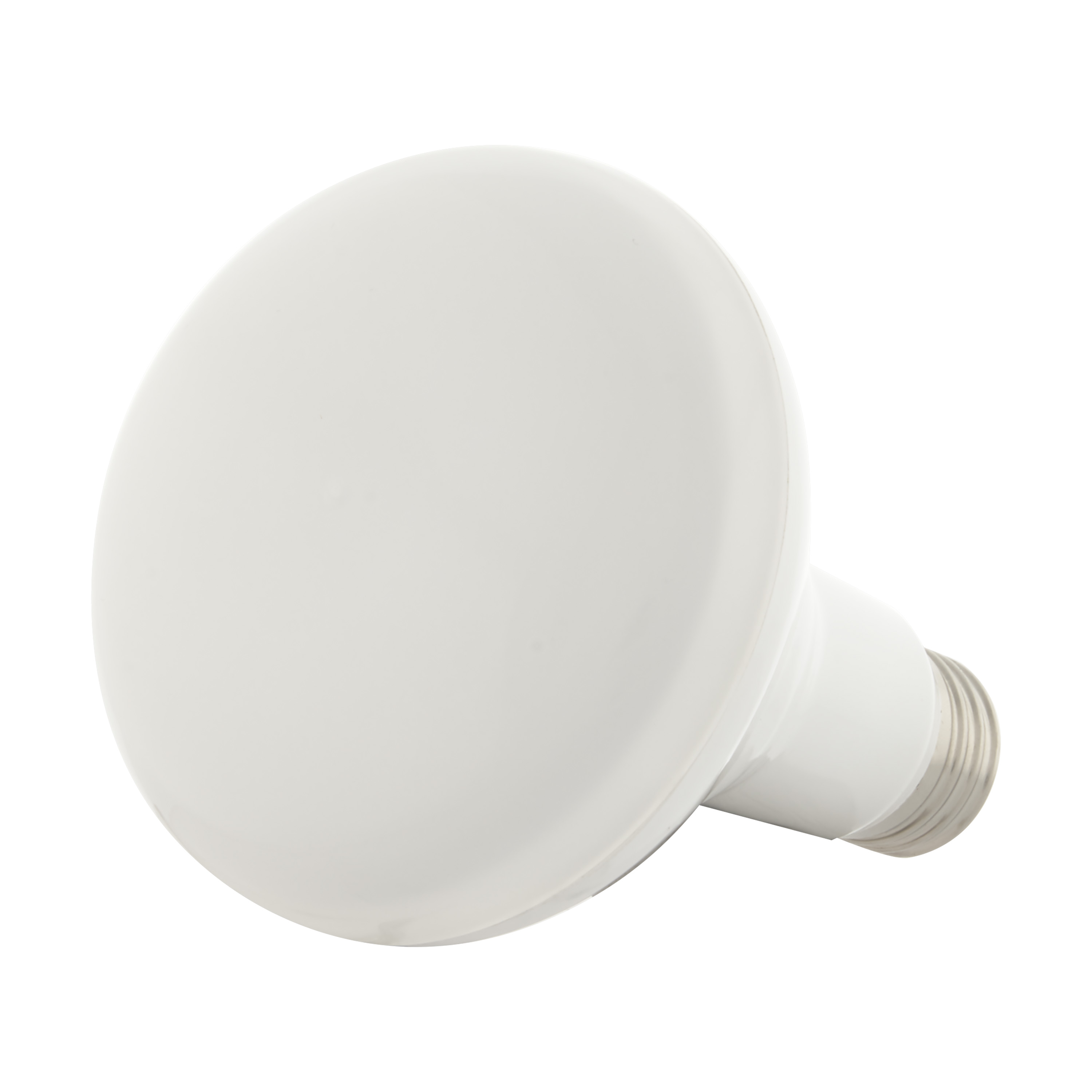 9.5BR30/LED/RGB/TW/T20/SF - S11257