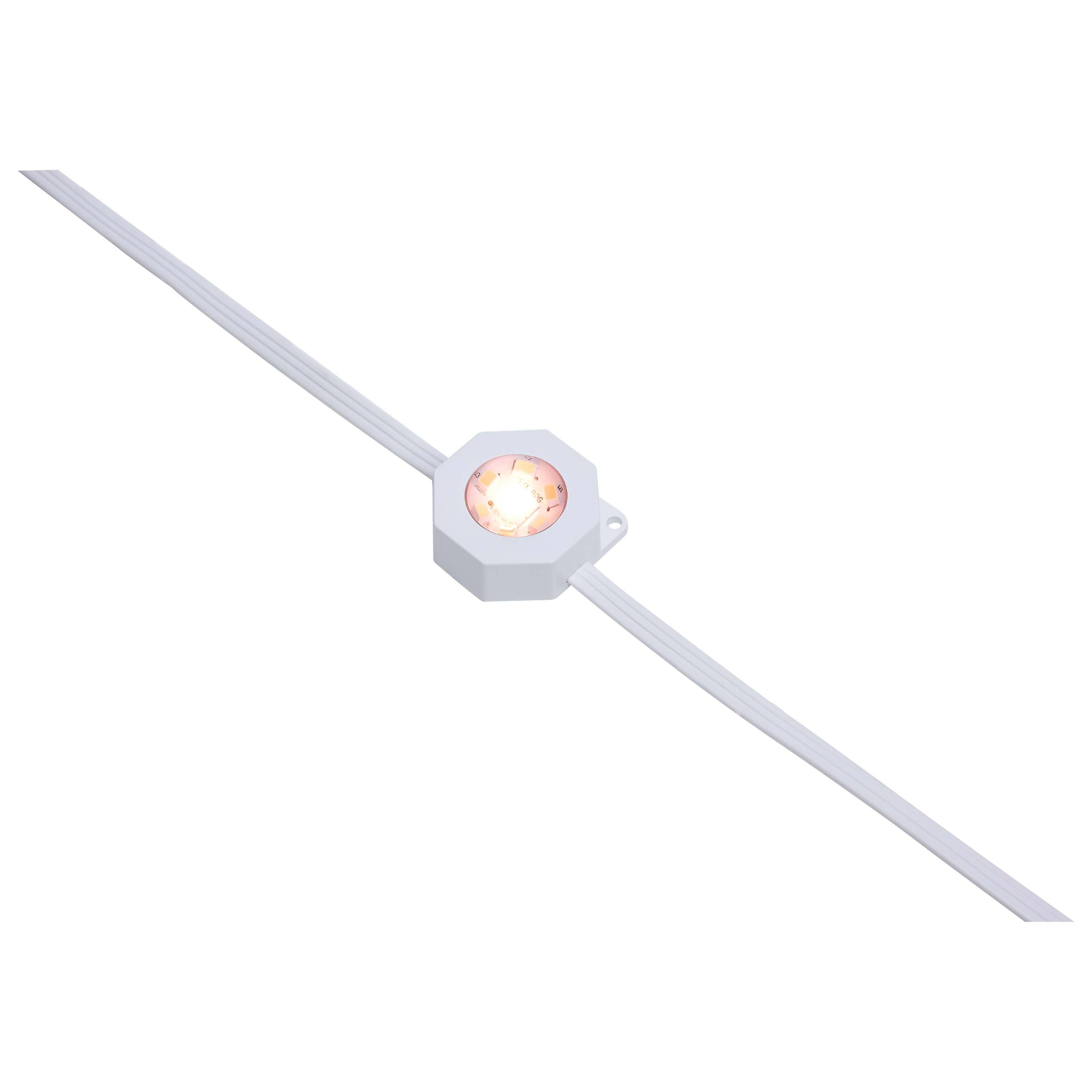 50FT/36LED/PSL/SF/RGBTWIC - S11297