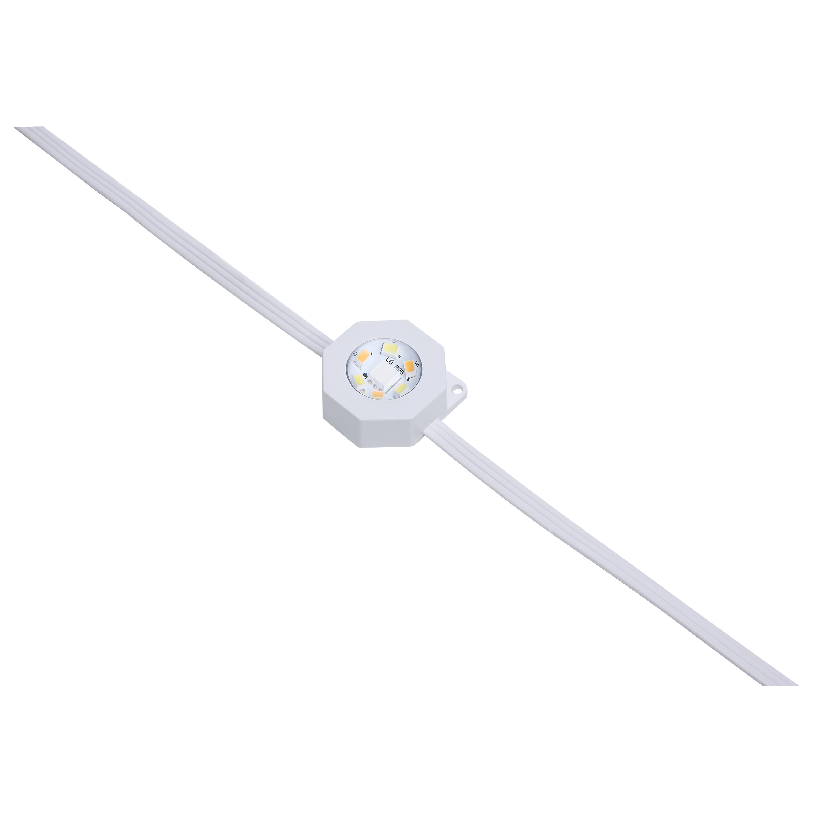 25FT/18LED/PSL/EXT/SF/RGBTWIC - S11299