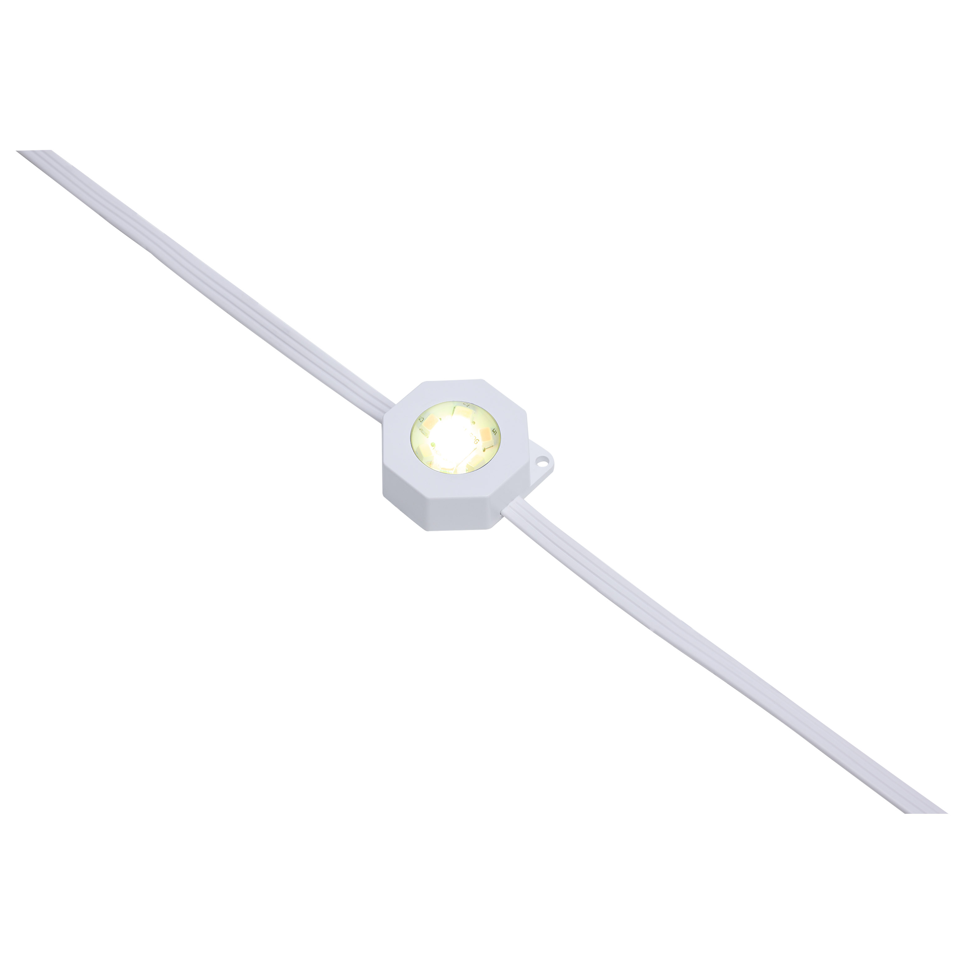 25FT/18LED/PSL/EXT/SF/RGBTWIC - S11299