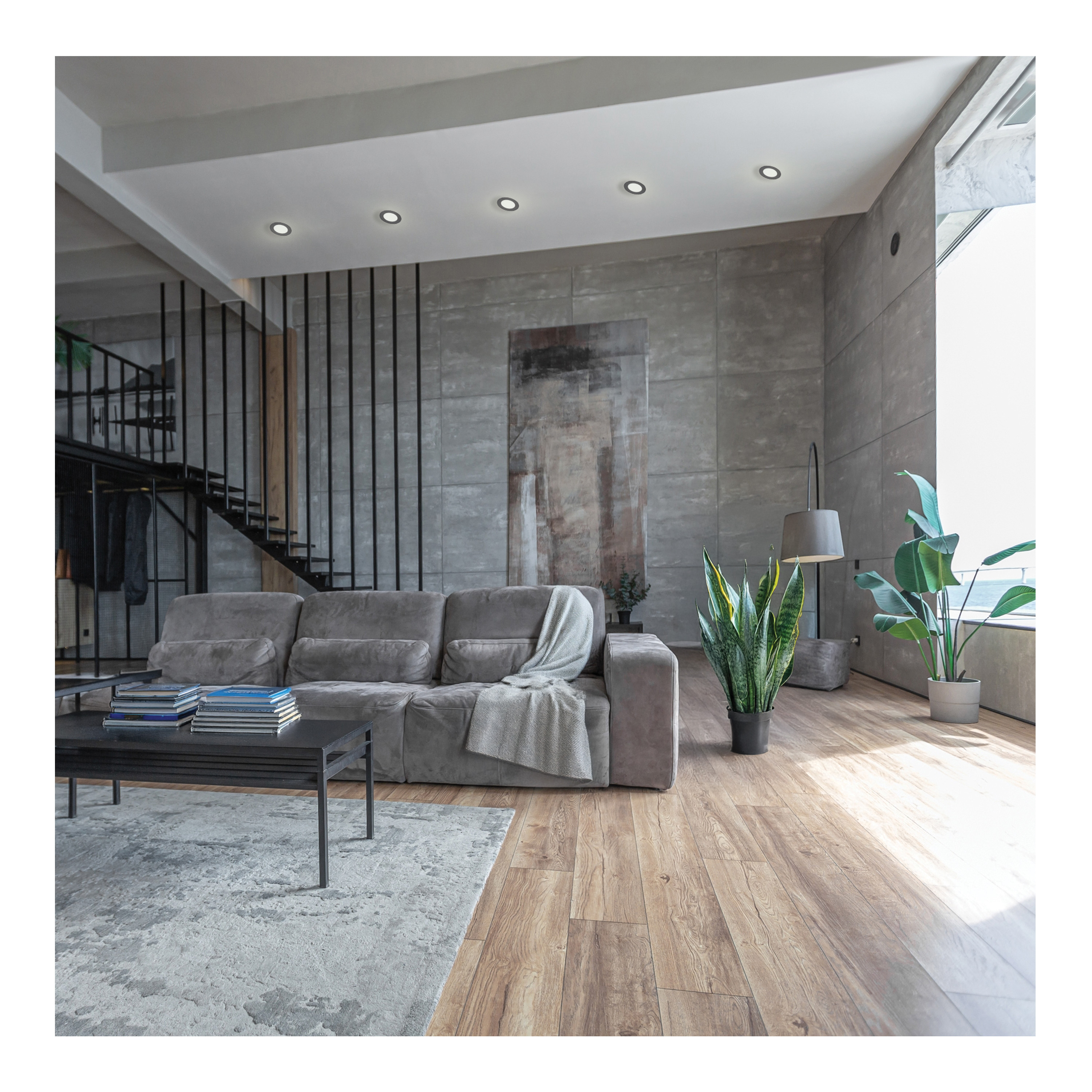 11WLED/DW/6/CCT/RND/FL/RD/BK - S11686