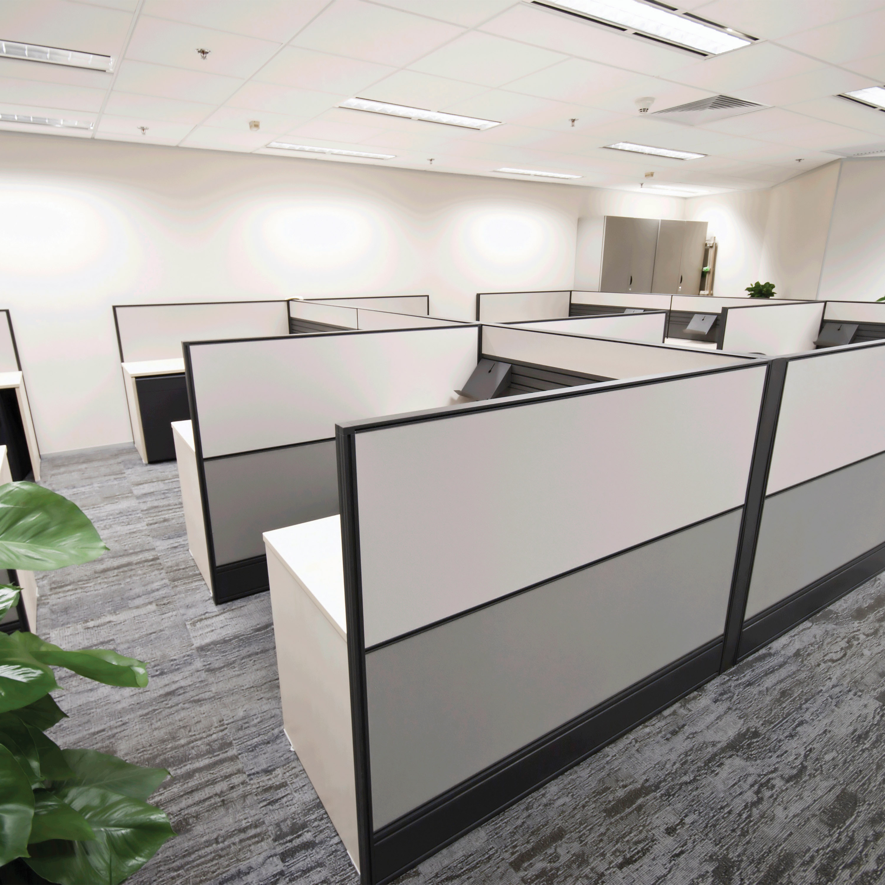 9.5/T8/LED/48-840/DR - S11742