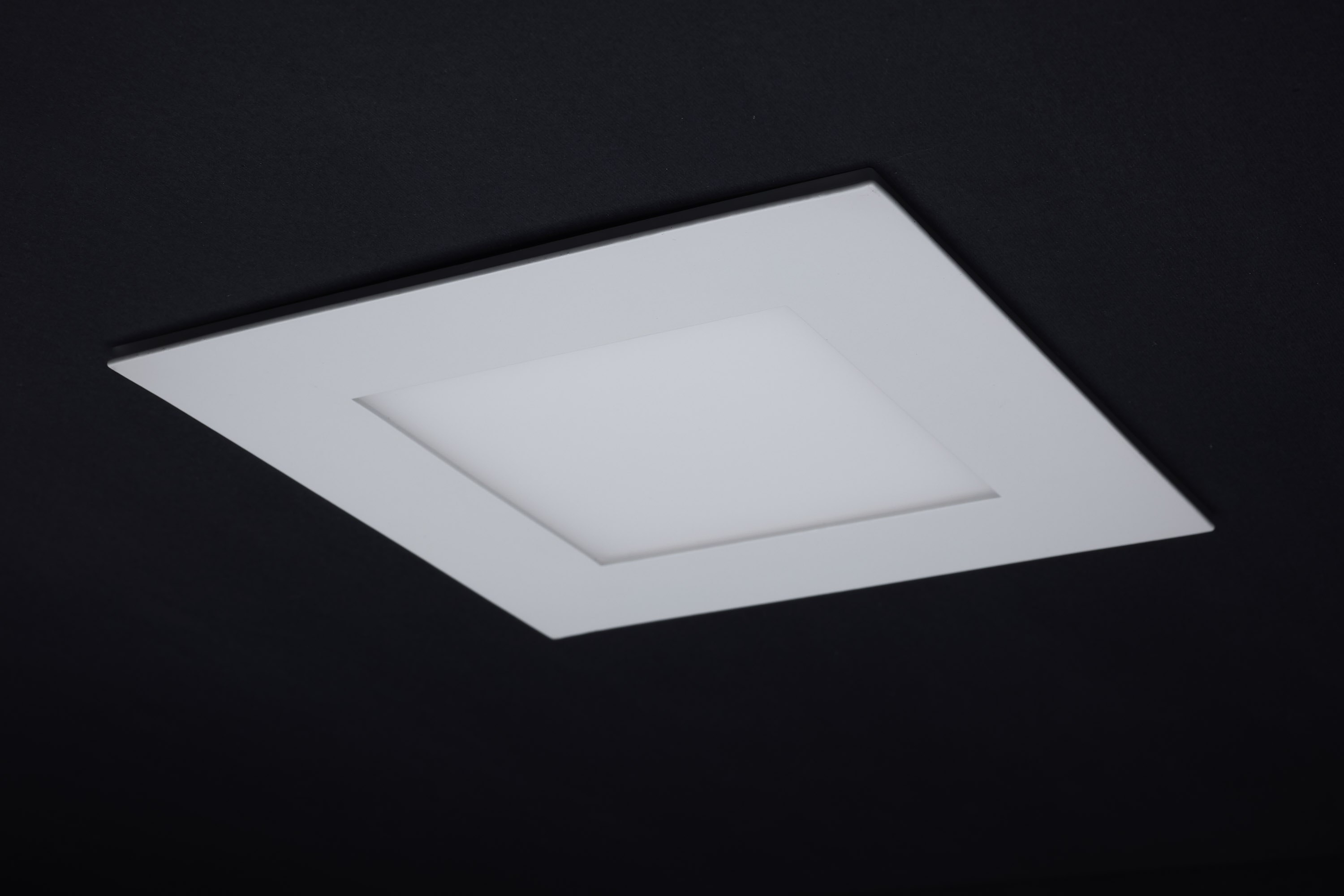 12WLED/DW/6/CCT-SEL/SQ/RD/NL - S11889