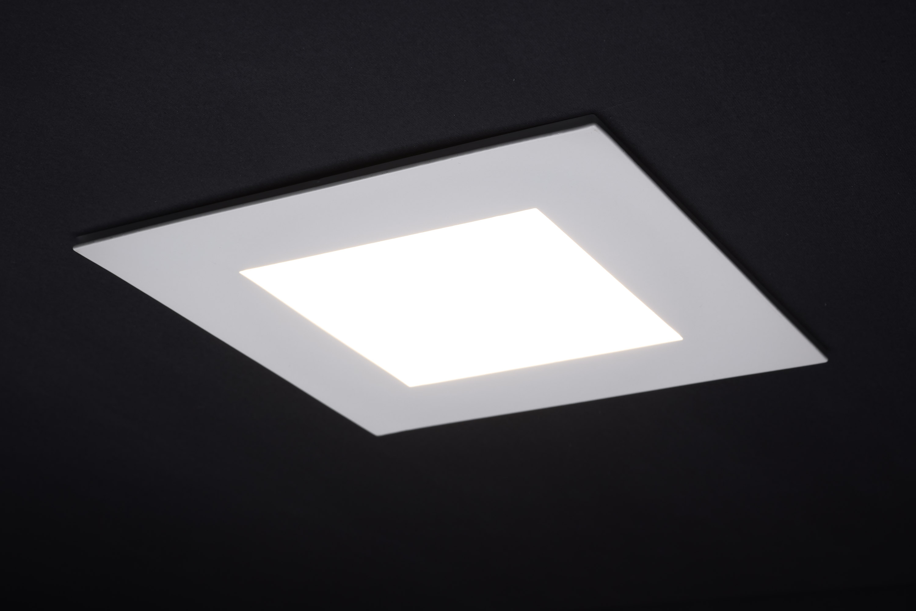 12WLED/DW/6/CCT-SEL/SQ/RD/NL - S11889