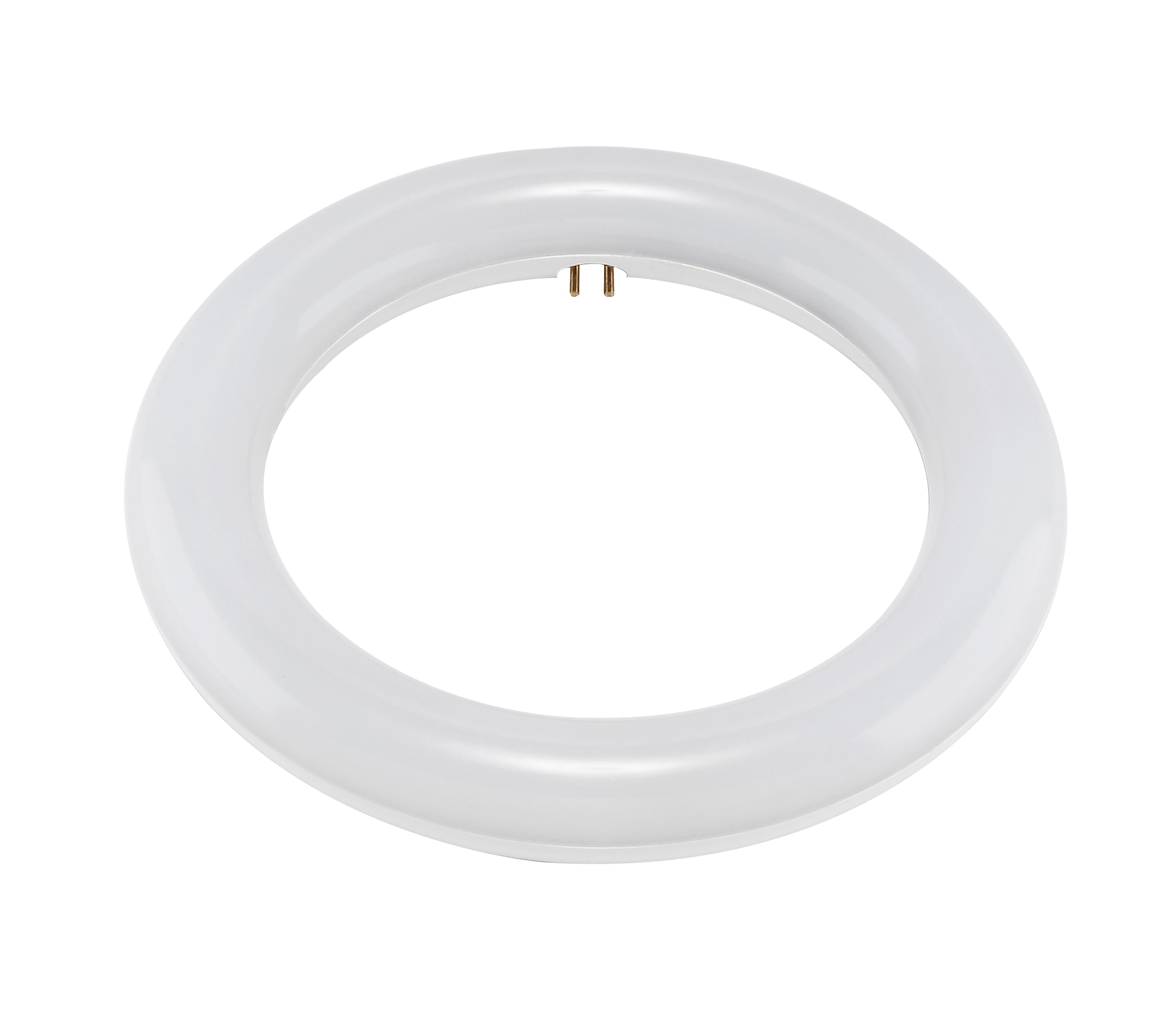 FC8T9/LED/CIR/840/BP - S16501