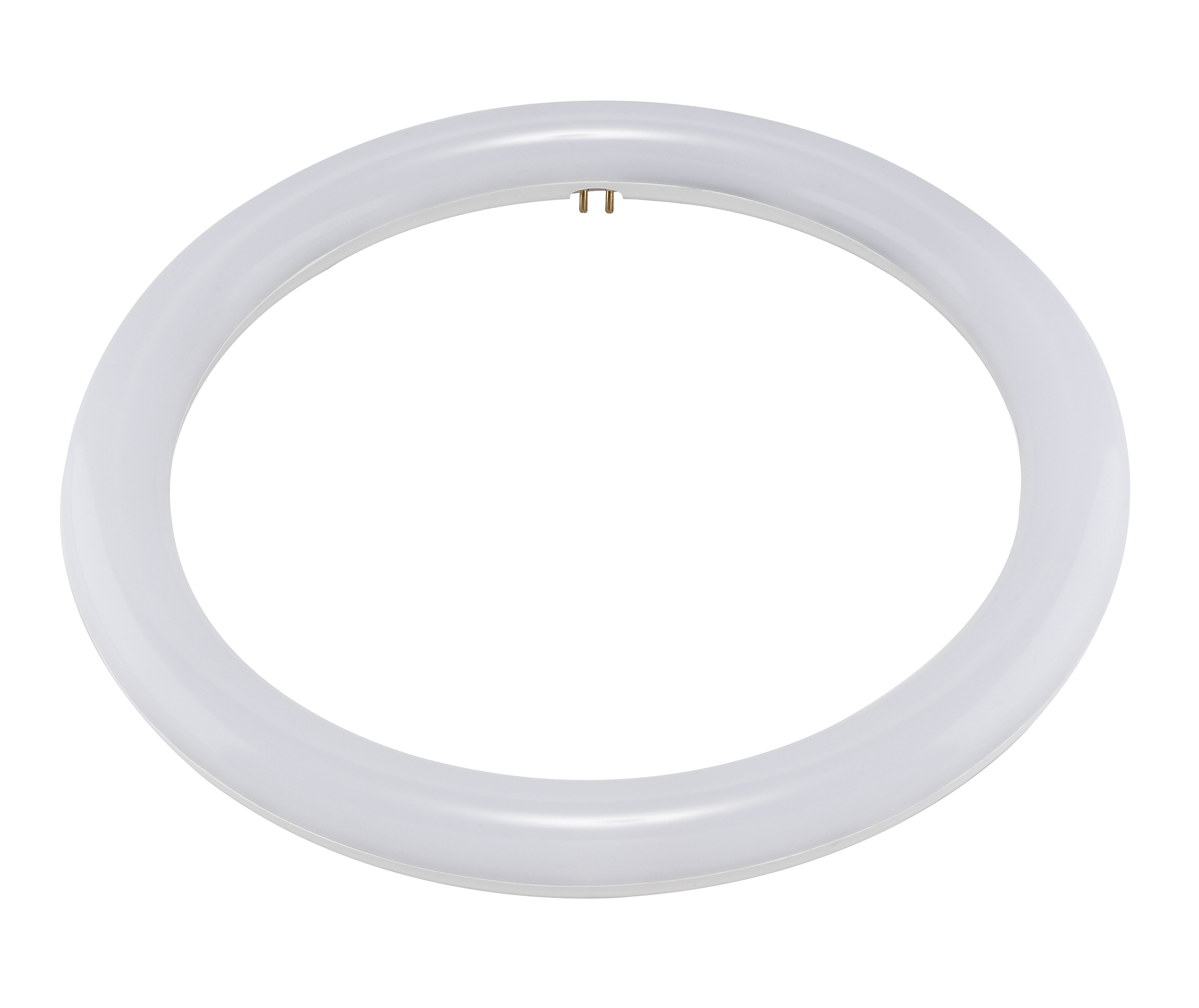 FC12T9/LED/CIR/840/BP - S16504