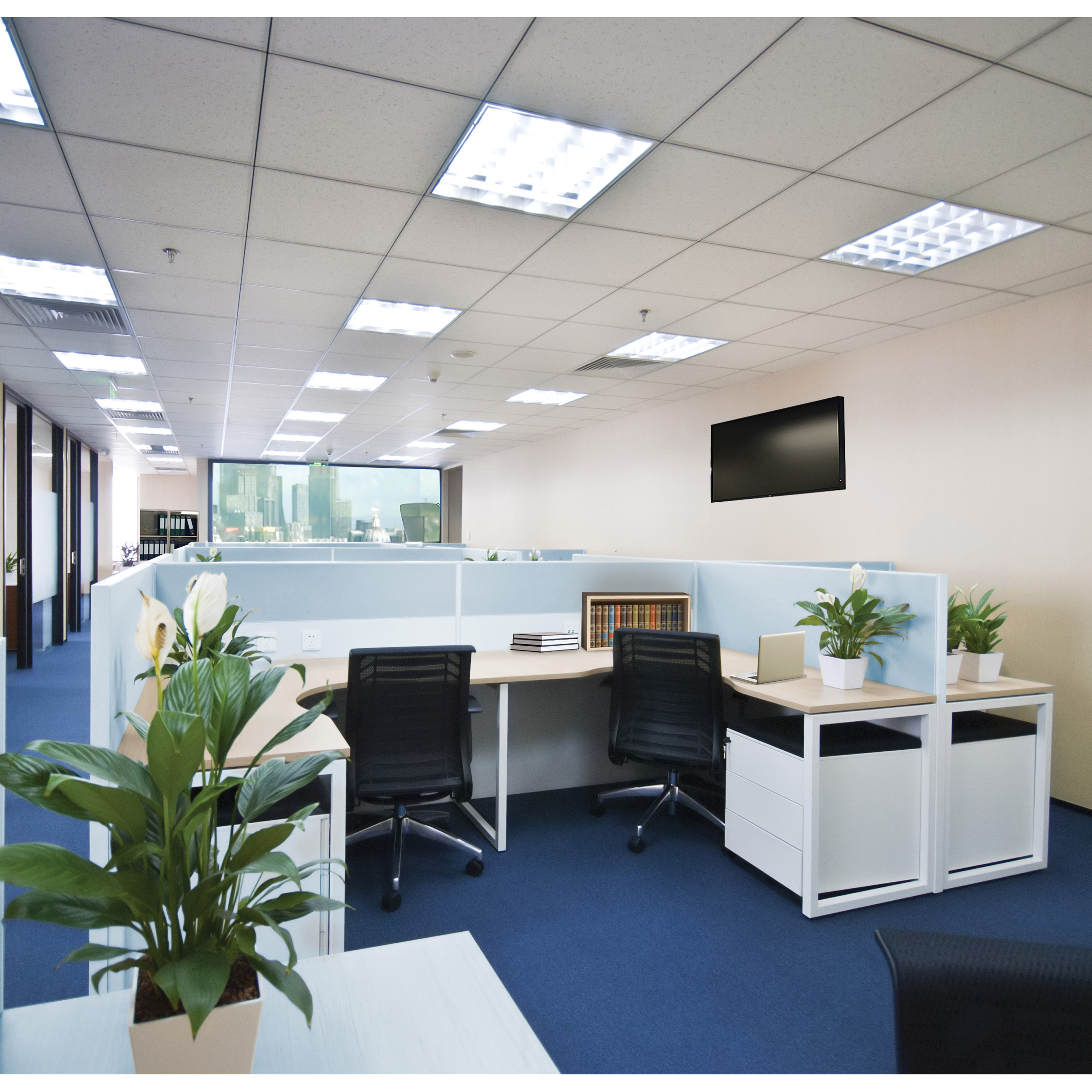 16PLL/LED/5CCT/AB - S18418