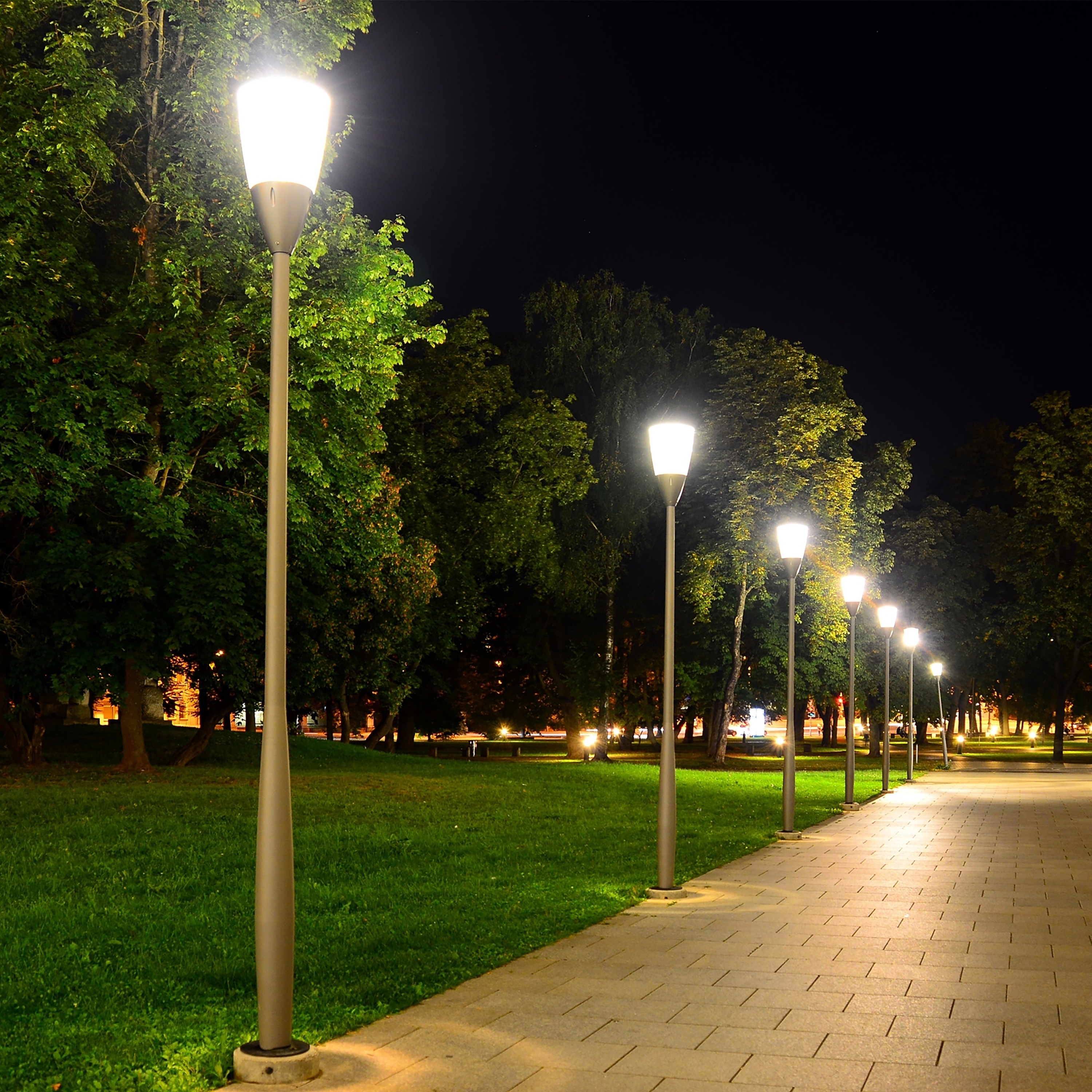 45W/LED/HID/5K/100-277V/EX39 - S39393