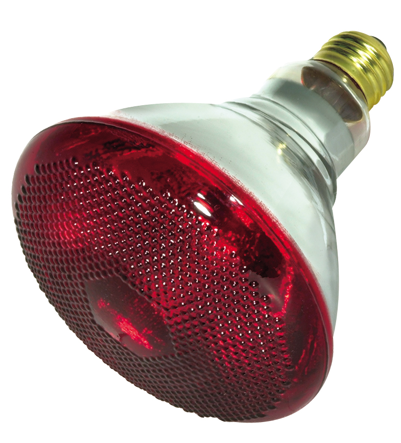 175BR38/HEAT/RED/TF SHATTER - S4751-TF