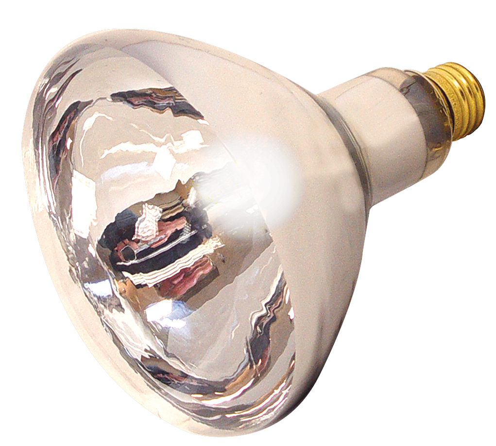 250R40/1/CL/2PK HEAT LAMP - S4755