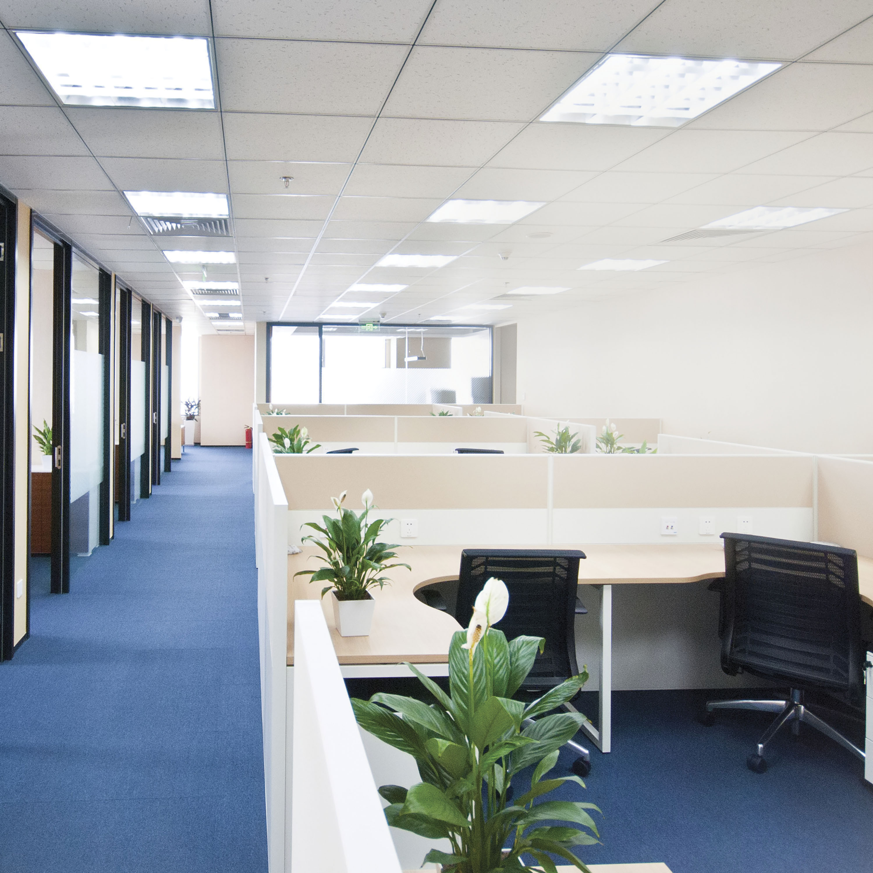 14/T8/LED/48-840/DR - S49977