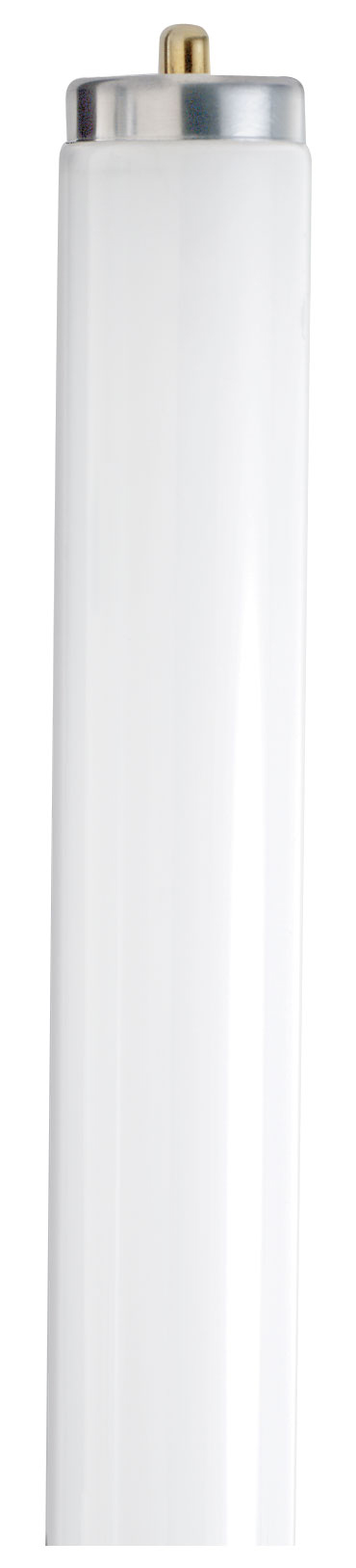 F60T12/D DAYLIGHT 26002 - S6483