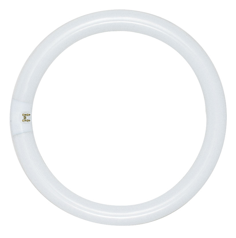 FC8T9/CW 22 WATT COOL WHITE - S6500