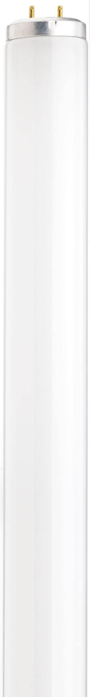 F14T12/WW GENERIC - S6561