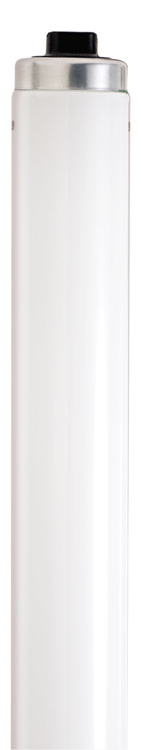 F96T12CW/VHO/SS/TF SHATTER PRO - S6590