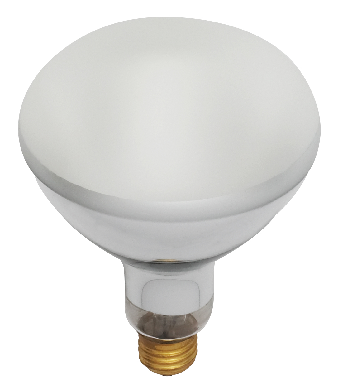 300BR40/FL/130V POOL LAMP - S7003