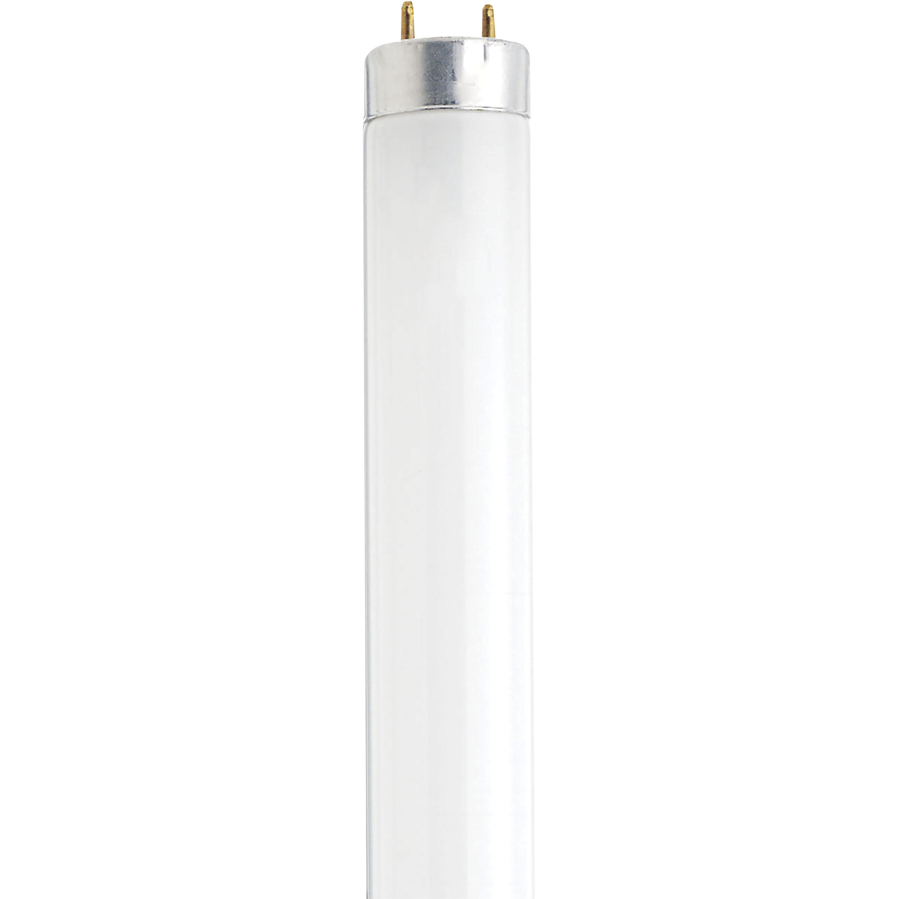 F13T8/CW 12IN 304MM - S7920