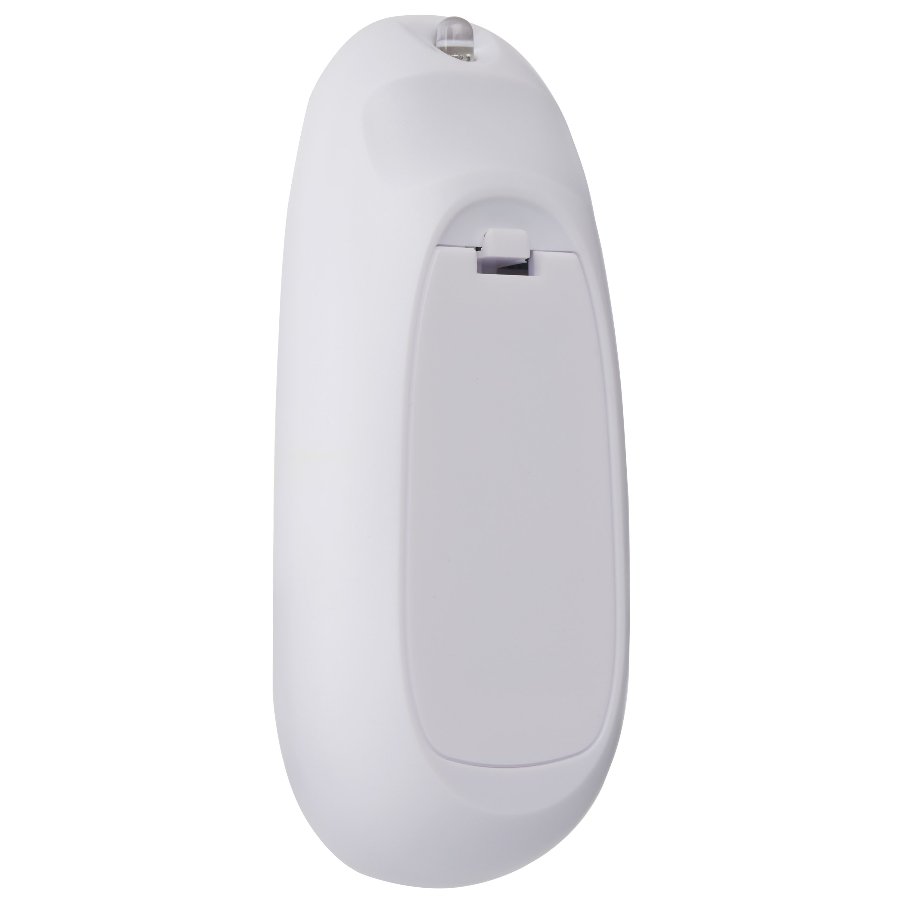 24FT/LED/SL/S14/IRR/RGBW/12 - S8031